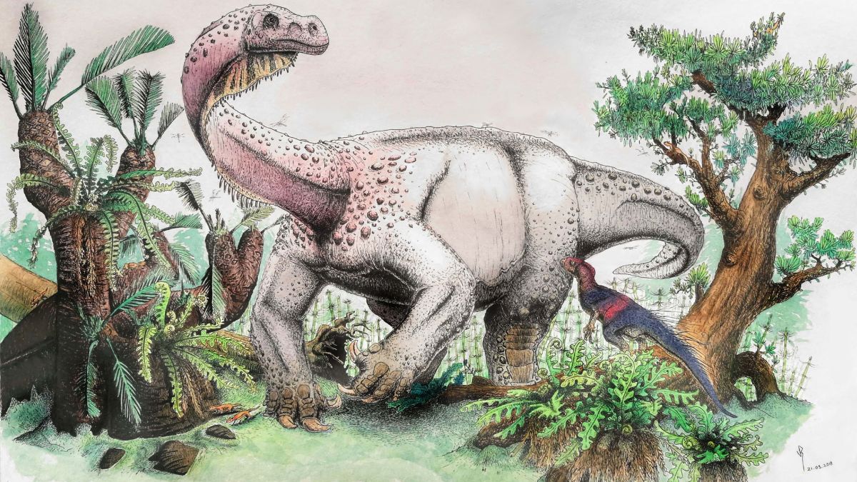 When Was The Last Dinosaur Alive On Earth - The Earth Images Revimage.Org