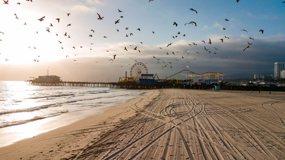 Birds fly over an empty Santa Monica beach in California on April 16.