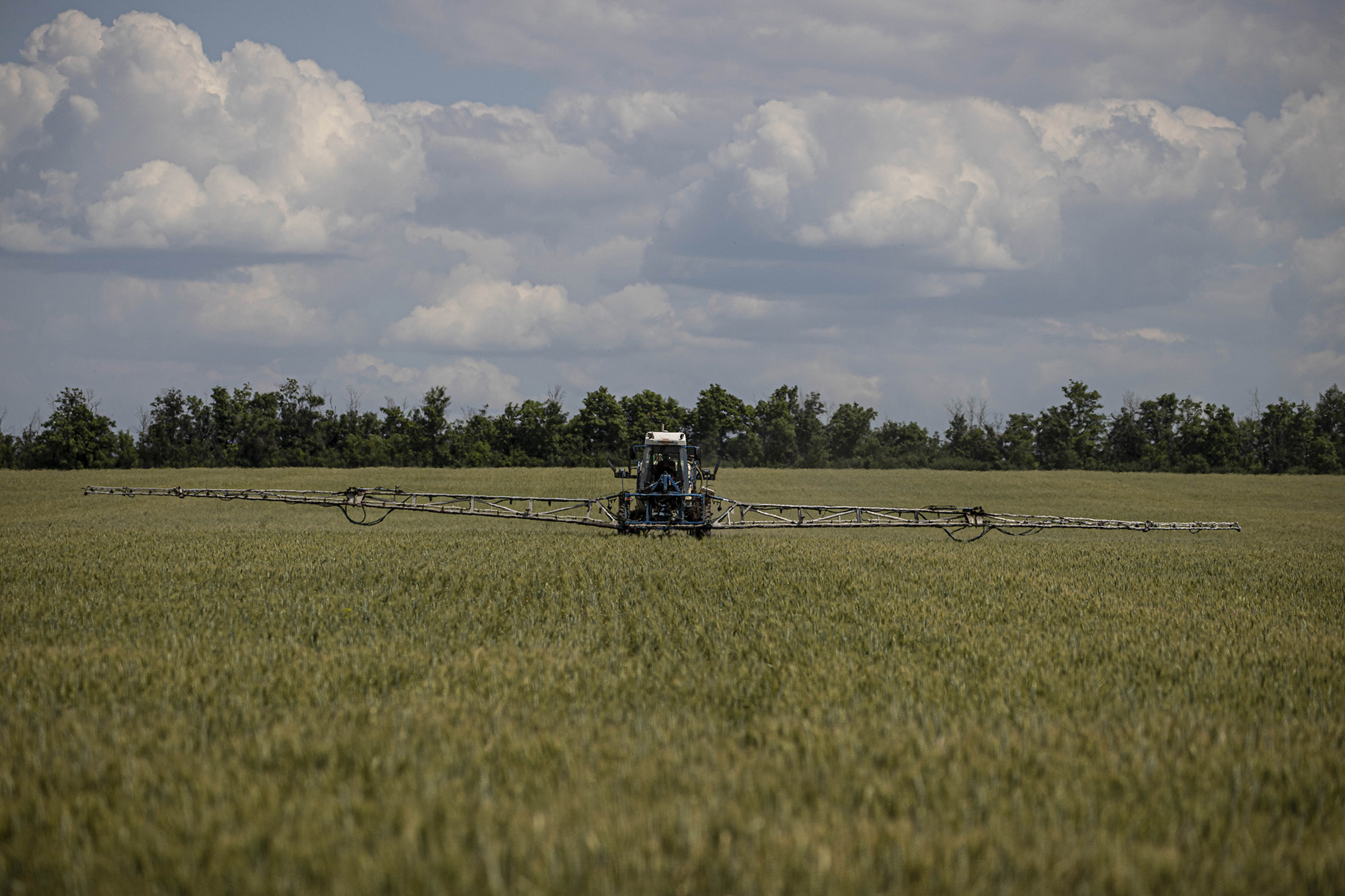 A farmer uses an agricultural machine on a wheat farm June 17 in Odessa, Ukraine.