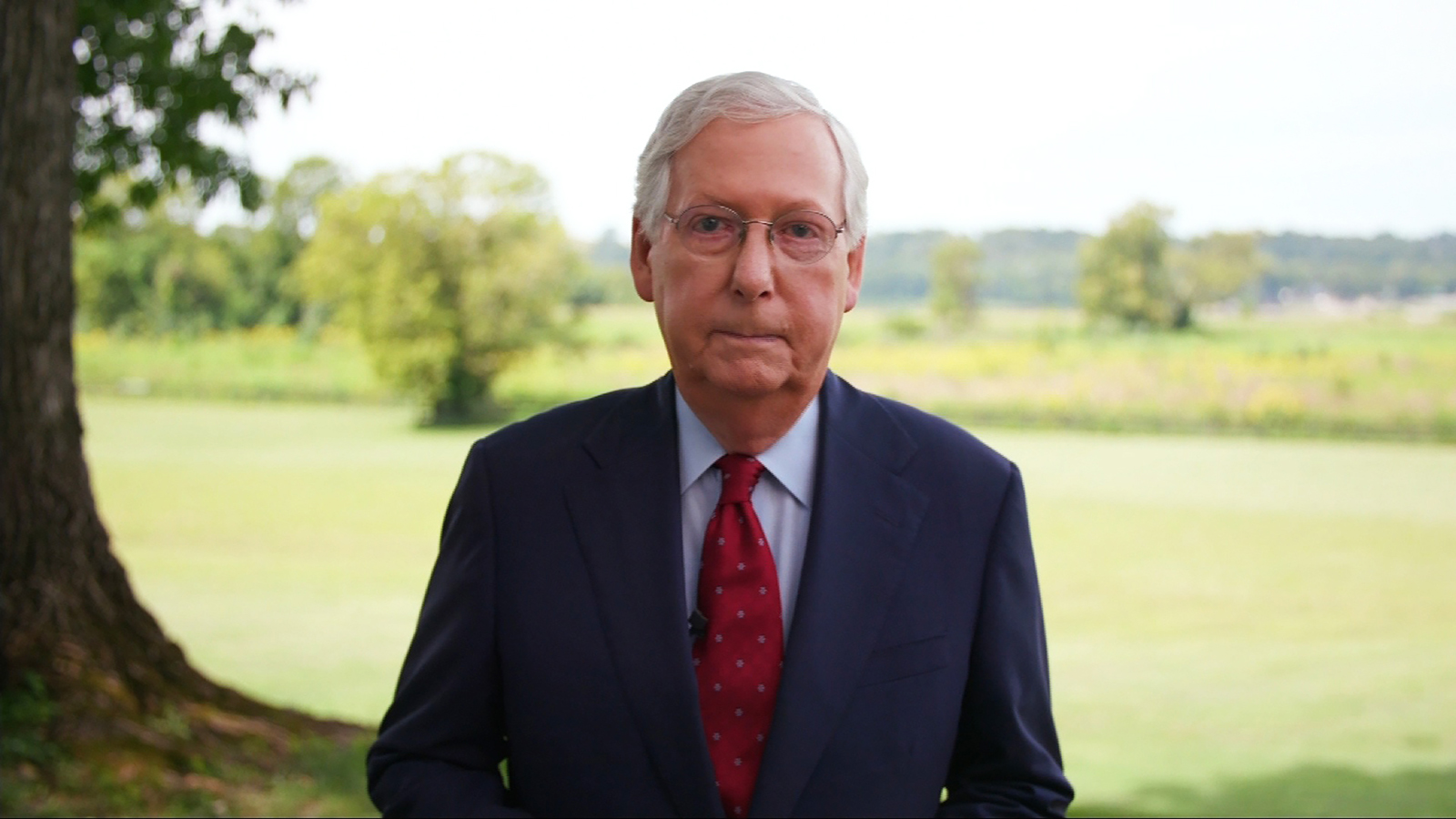 Senate Majority Leader Mitch McConnell.