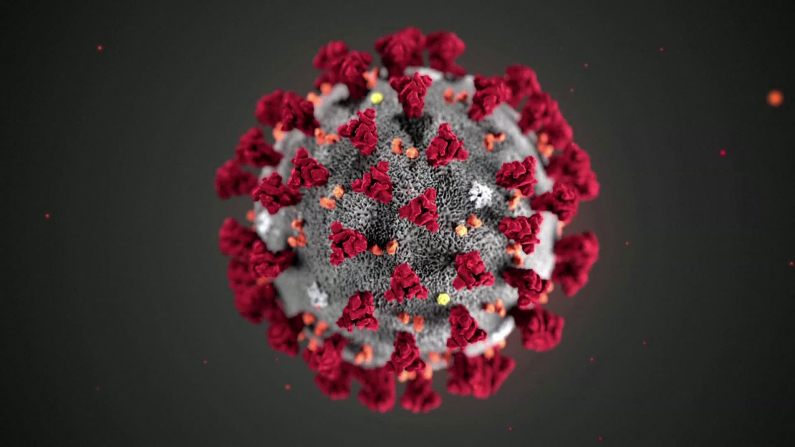 This illustration, created at the Centers for Disease Control and Prevention (CDC), reveals ultrastructural morphology exhibited by coronaviruses.