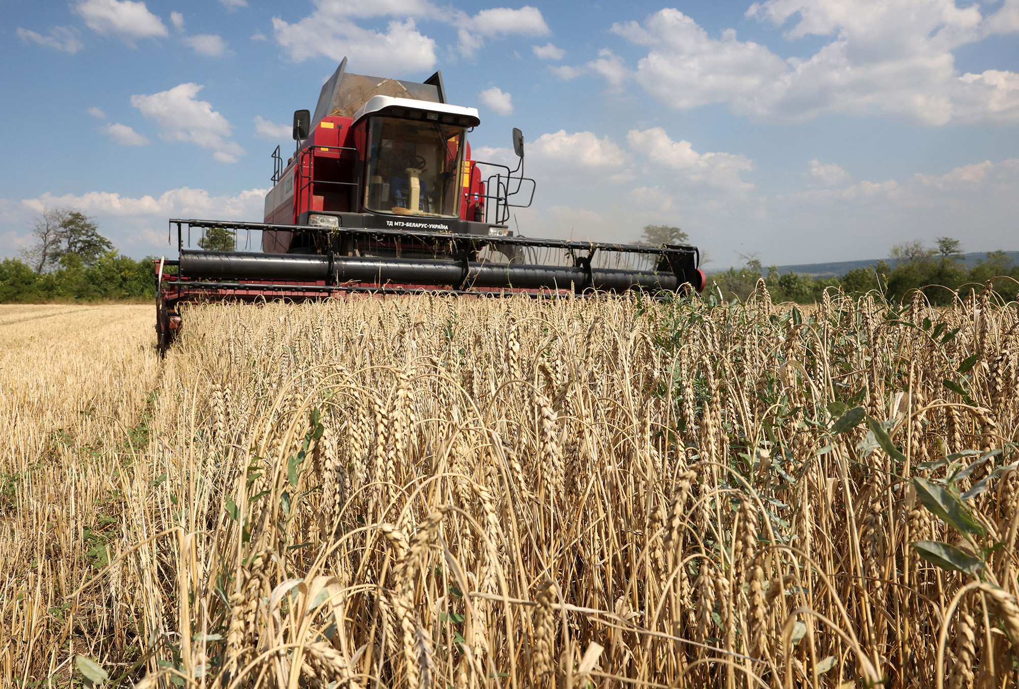A combine harvests wheat near Kramatorsk, in Donetsk region, Ukraine, on August 4.