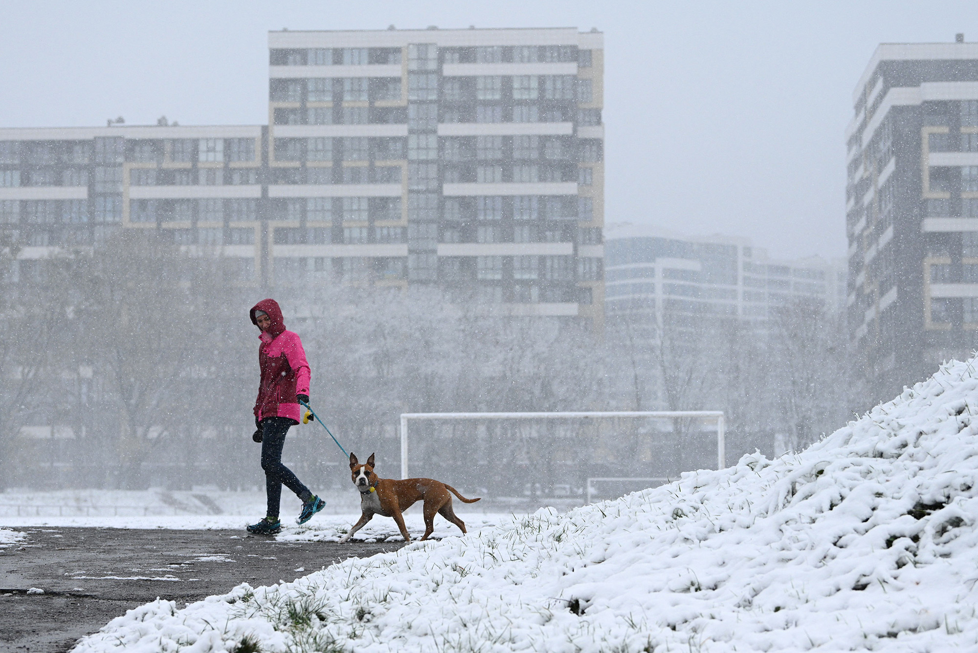 A girl walks a dog during first snow fall in the western Ukrainian city of Lviv, on November 17.