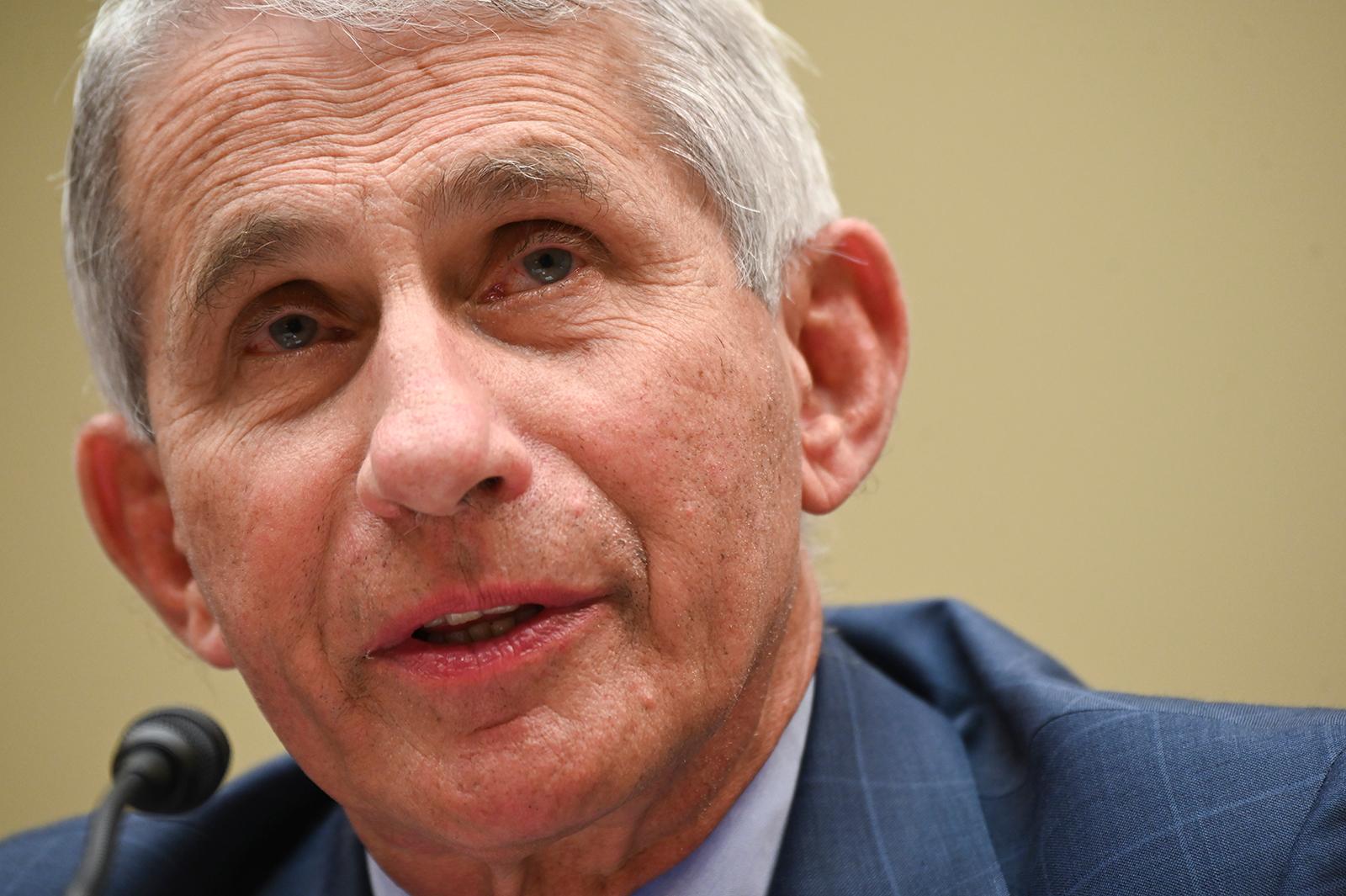 Dr. Anthony Fauci, director of the National Institute of Allergy and Infectious Diseases, testifies during a House Select Subcommittee on the Coronavirus Crisis hearing in Washington, DC on July 31.
