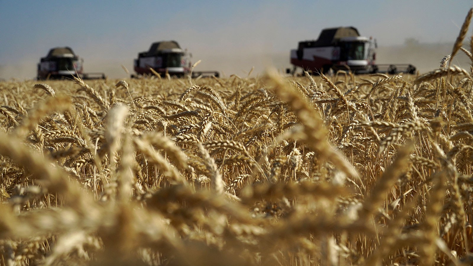 Farmers harvest wheat in the southern Russian Rostov region on July 7.