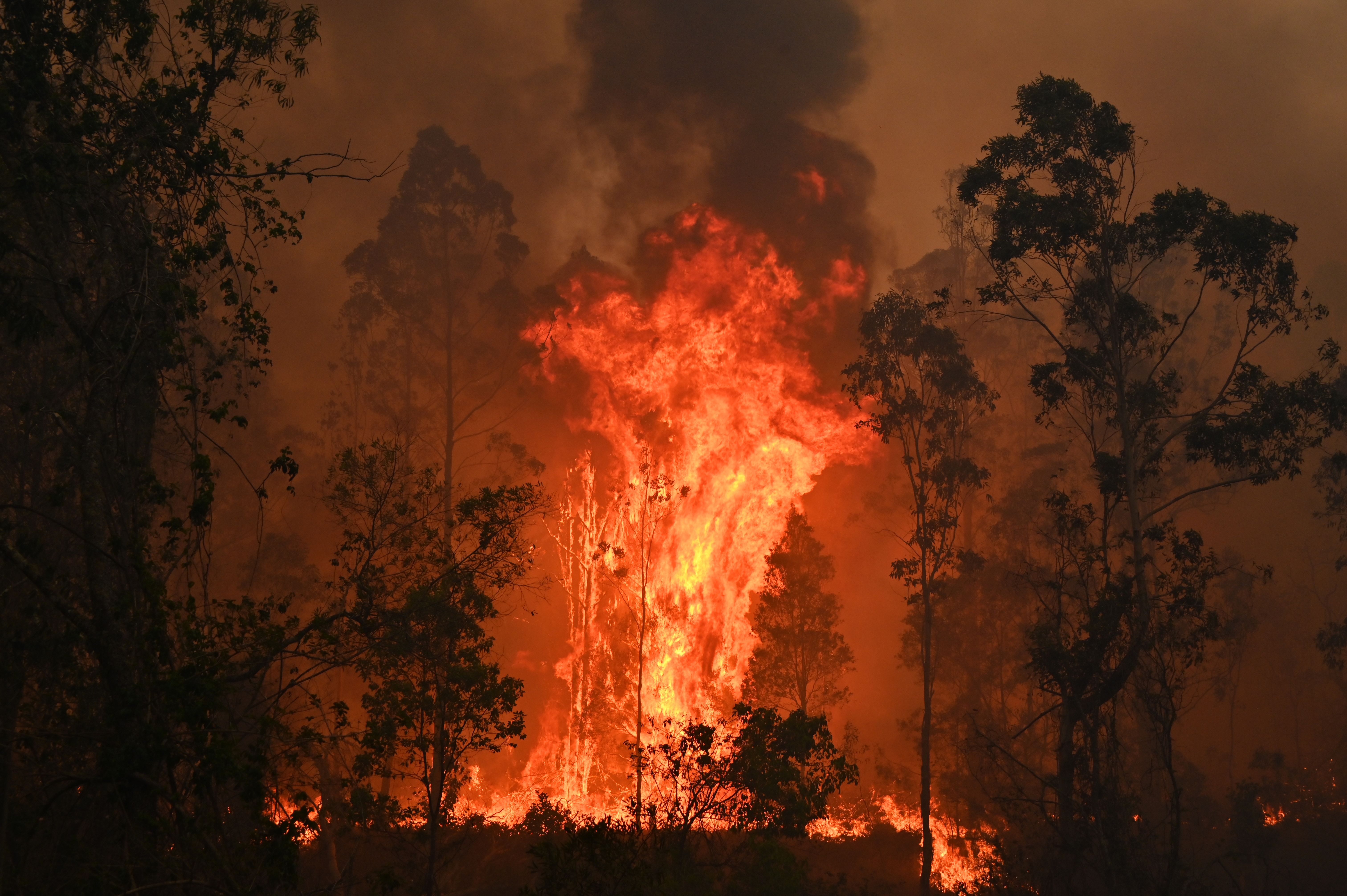  A fire rages in Bobin, 350 kilometers (217 miles) north of Sydney, on November 9.