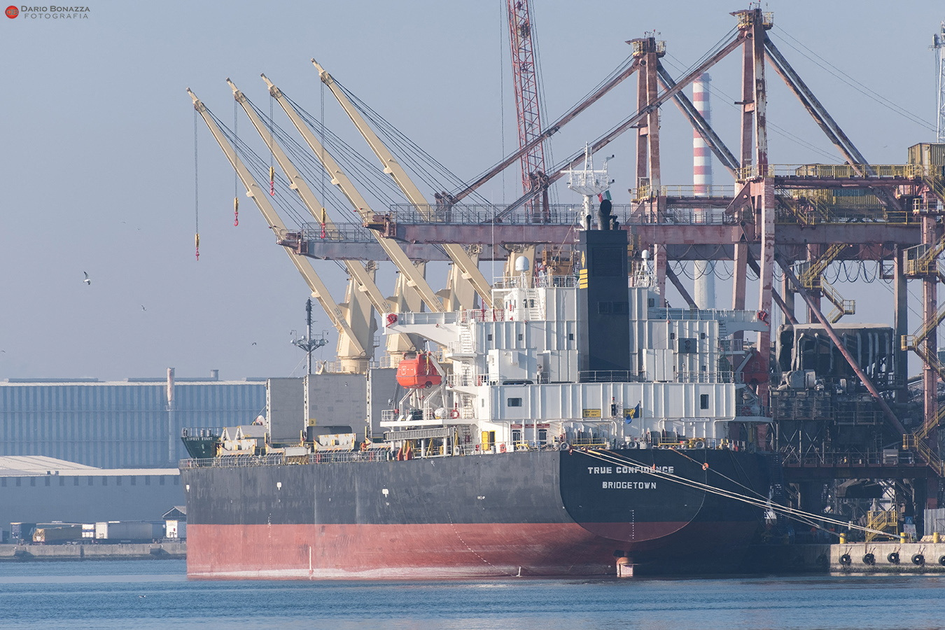 This 2022 photo shows the bulk carrier vessel True Confidence in Ravenna, Italy.