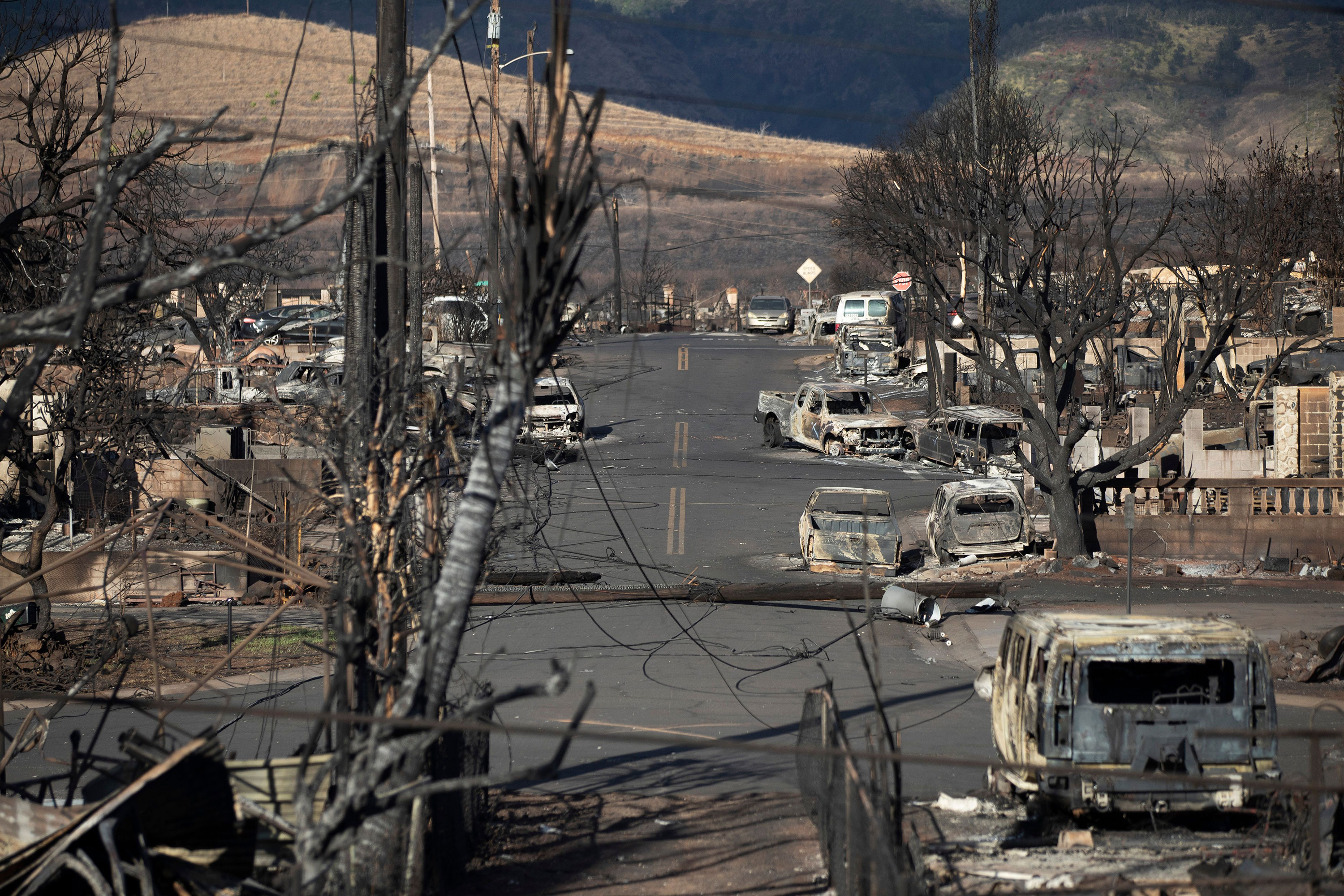 Burnt trees, cars and the ruins of homes are seen in Lahaina on Sunday.