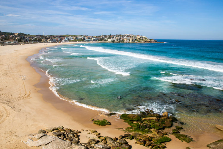 Sydney’s famous beach district has the most coronavirus cases in the ...