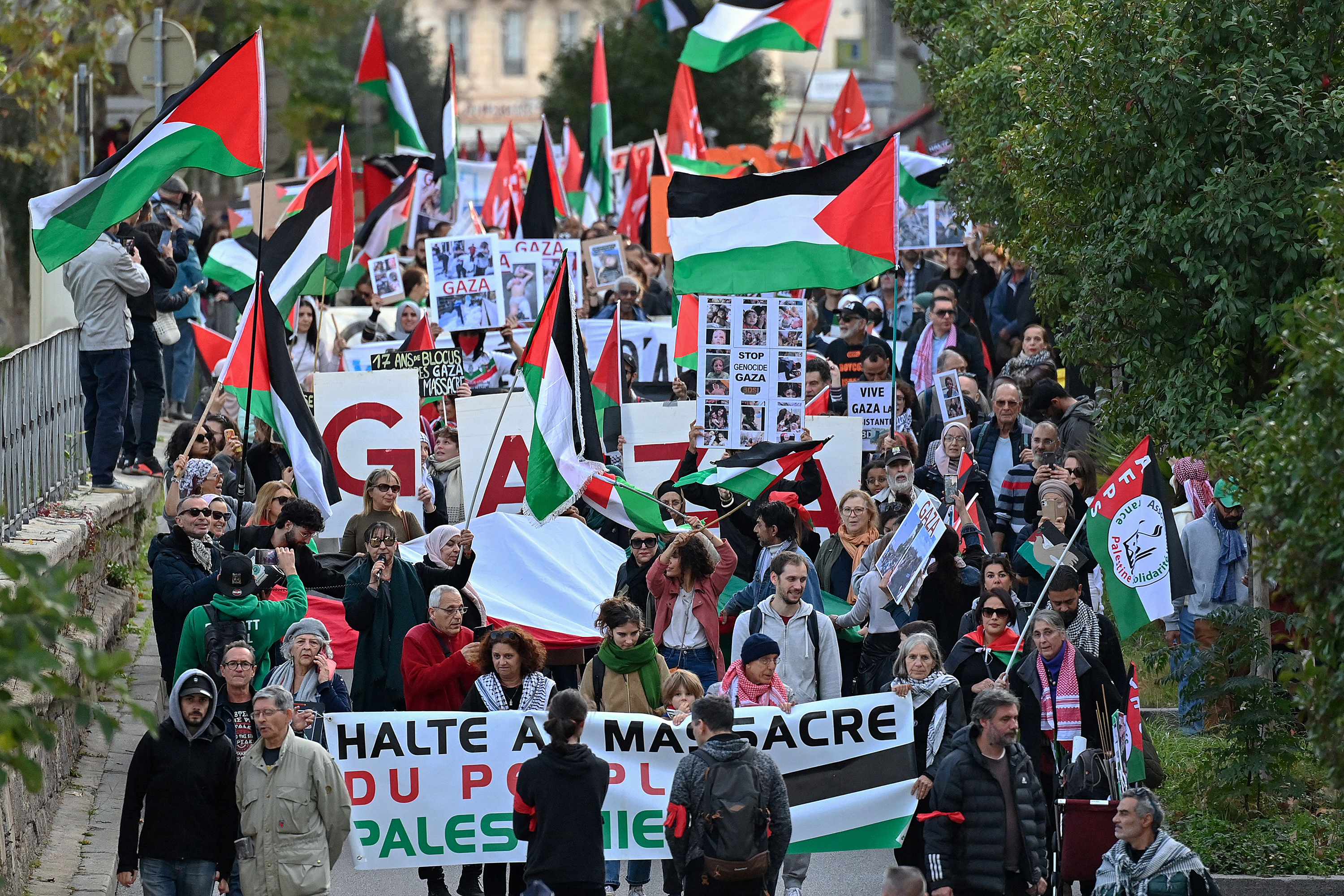 Protesters wave Palestinian flags as they take part in a demonstration to demand a "stop to the bombings in Gaza" in Montpellier, southern France on November 18.