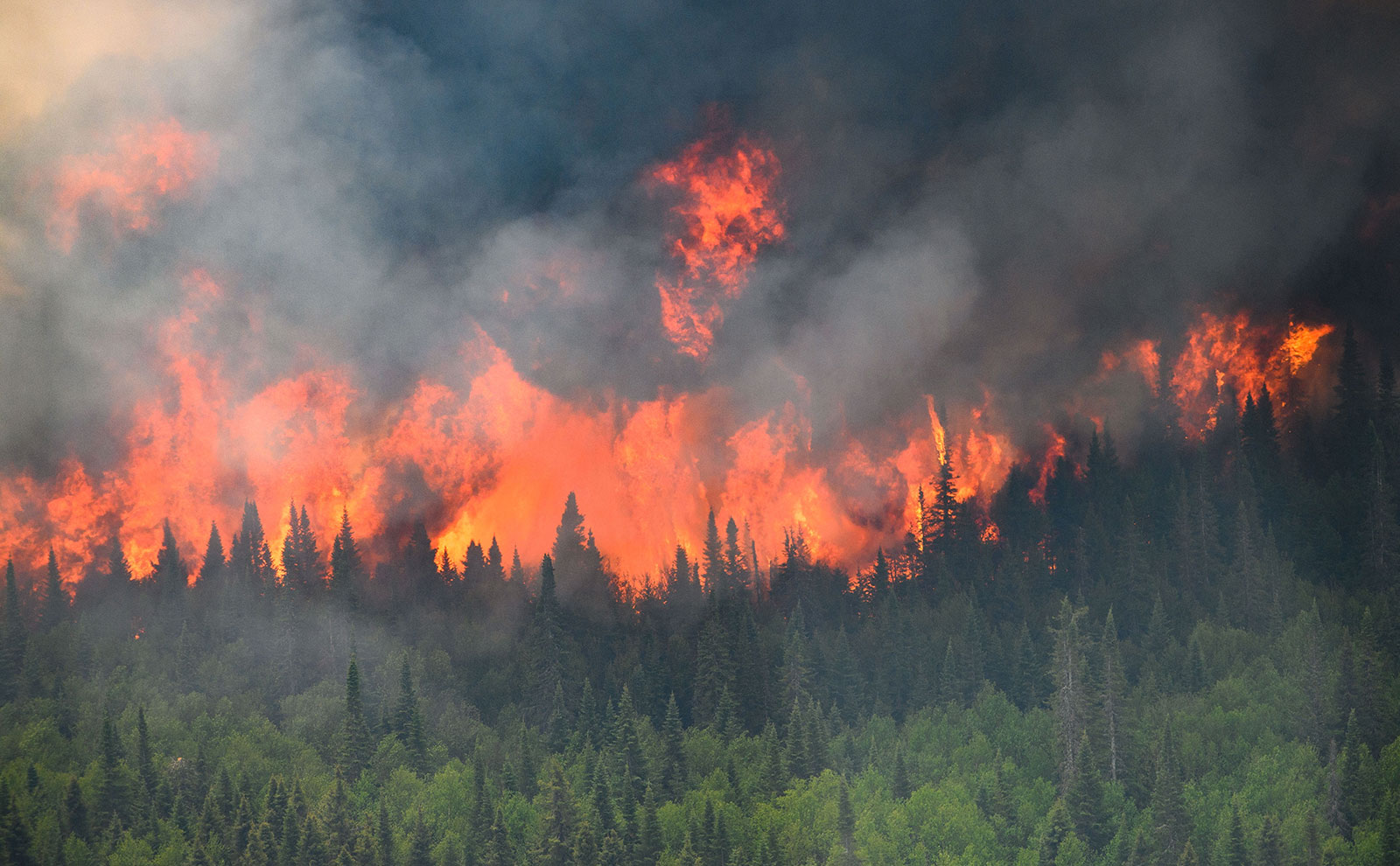 NYC landmarks are blanketed in smoke pouring across the Northeast from  Canadian wildfires