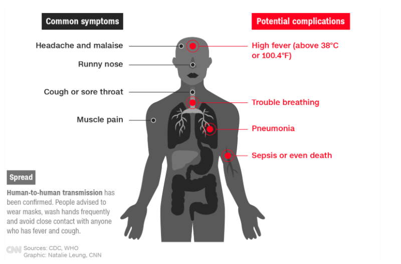 coronavirus new findings