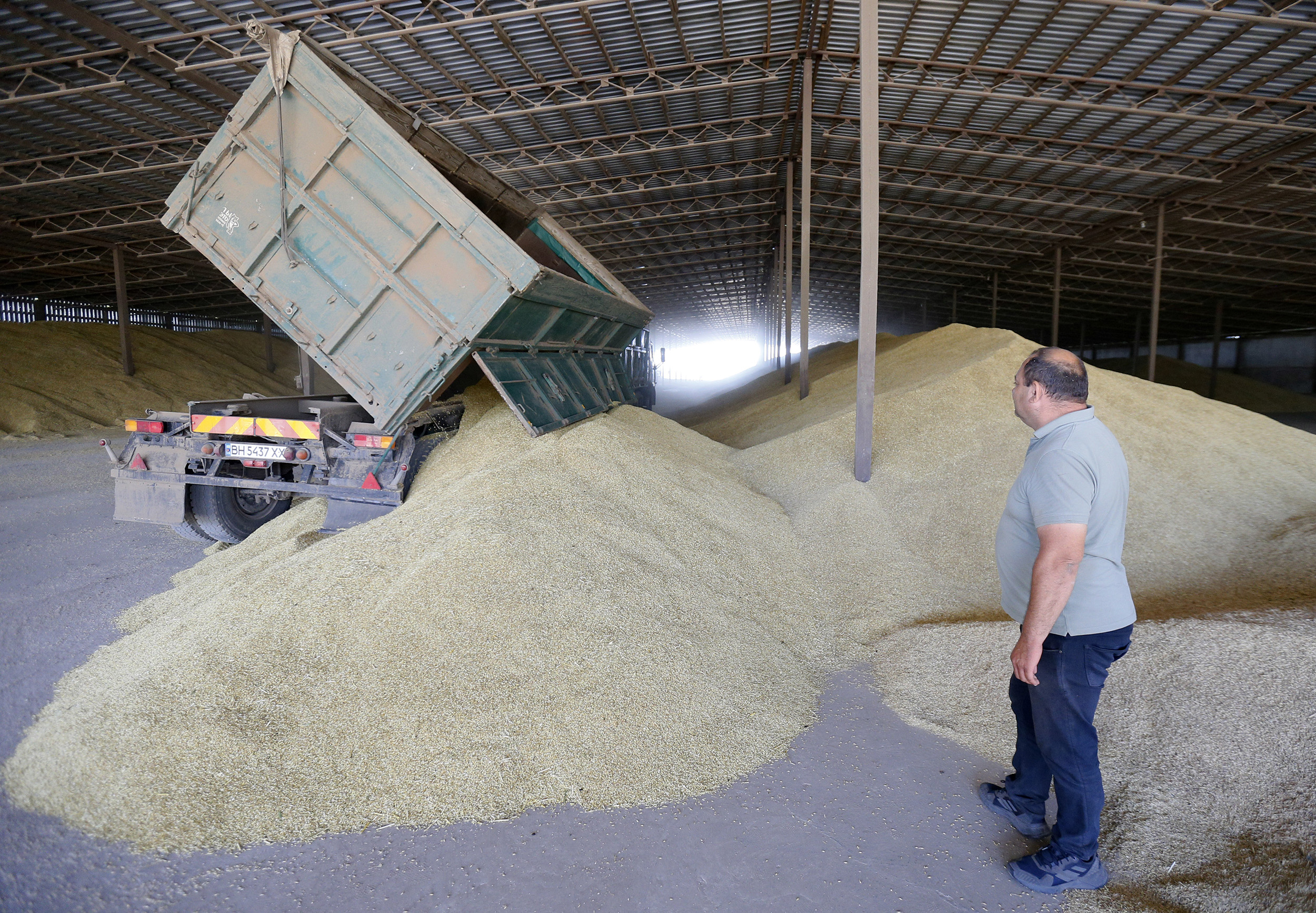 A truck driver unloads barley grains after harvest at a grain storage facility in the Odesa region, Ukraine, on 22 June.
