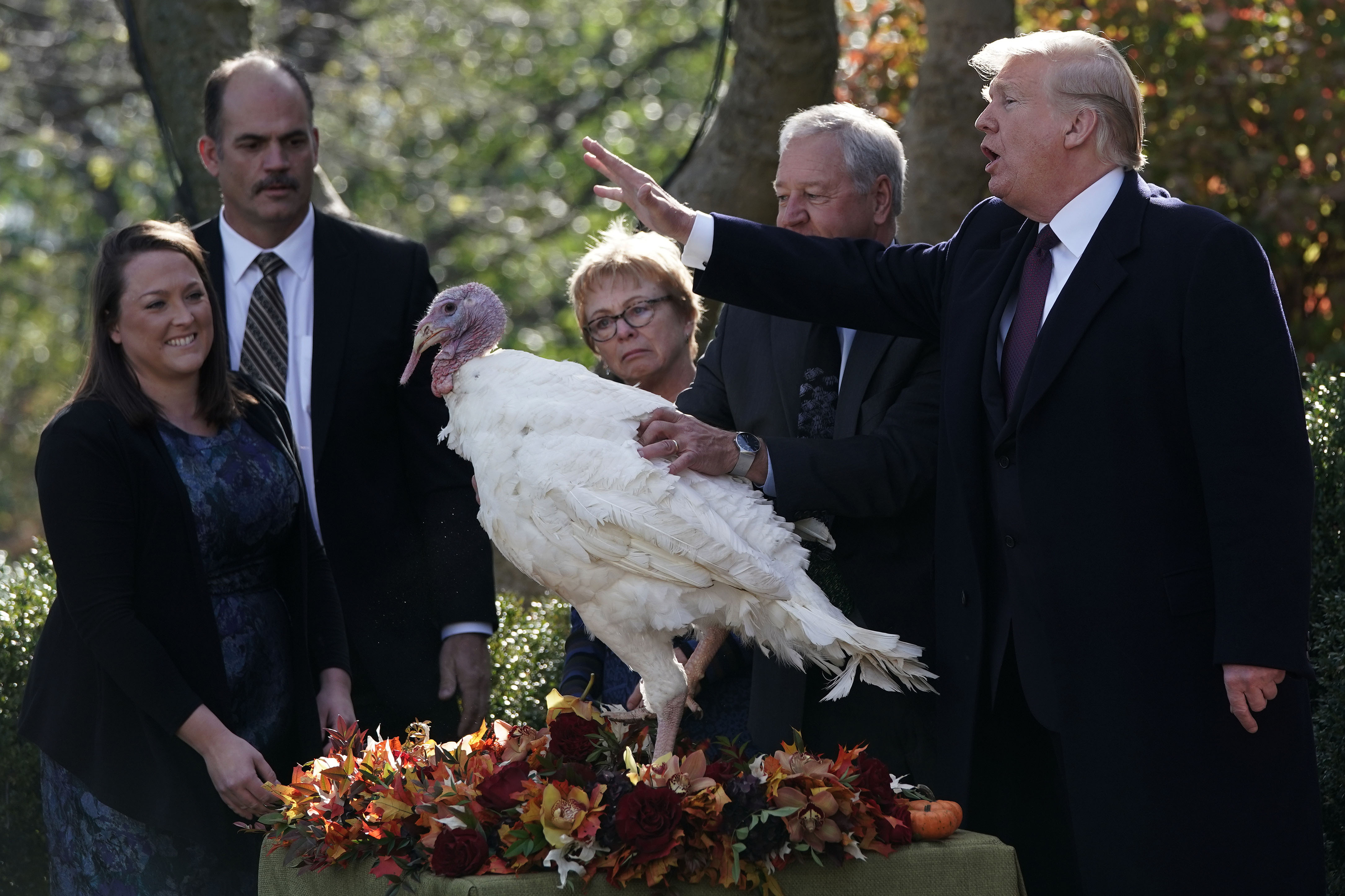 Trump participates in the 2018 turkey pardoning event. 