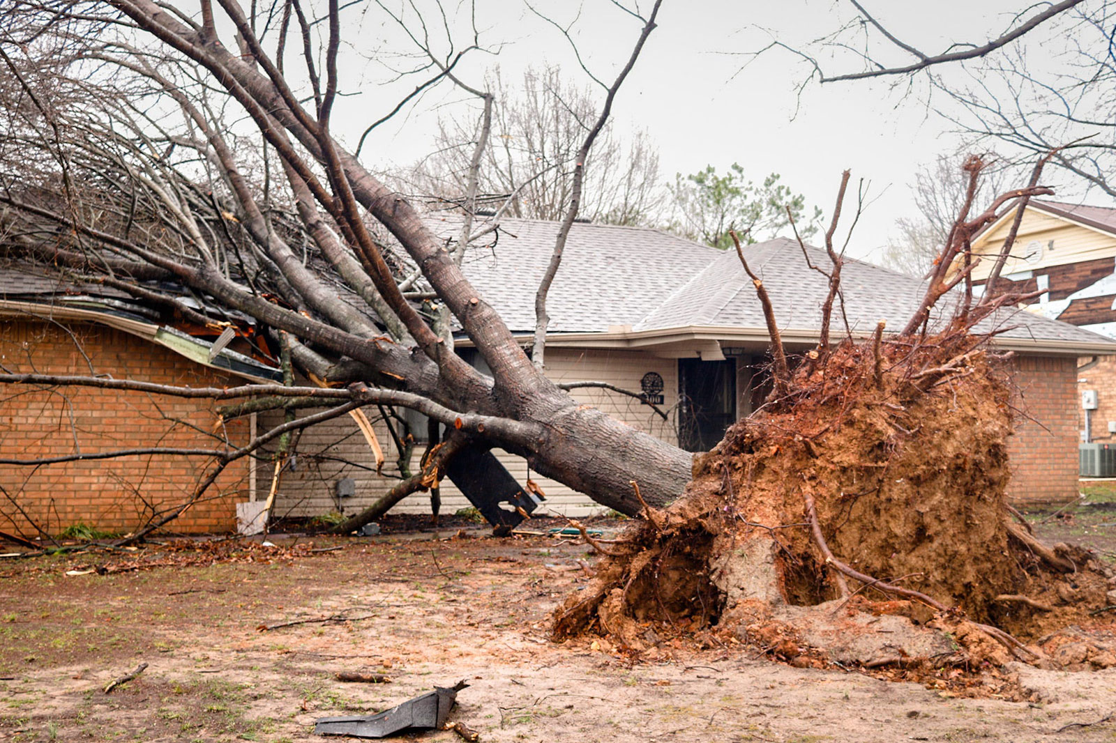 A large tree fell on a house after a powerful storm ripped through the area on Wednesday. 