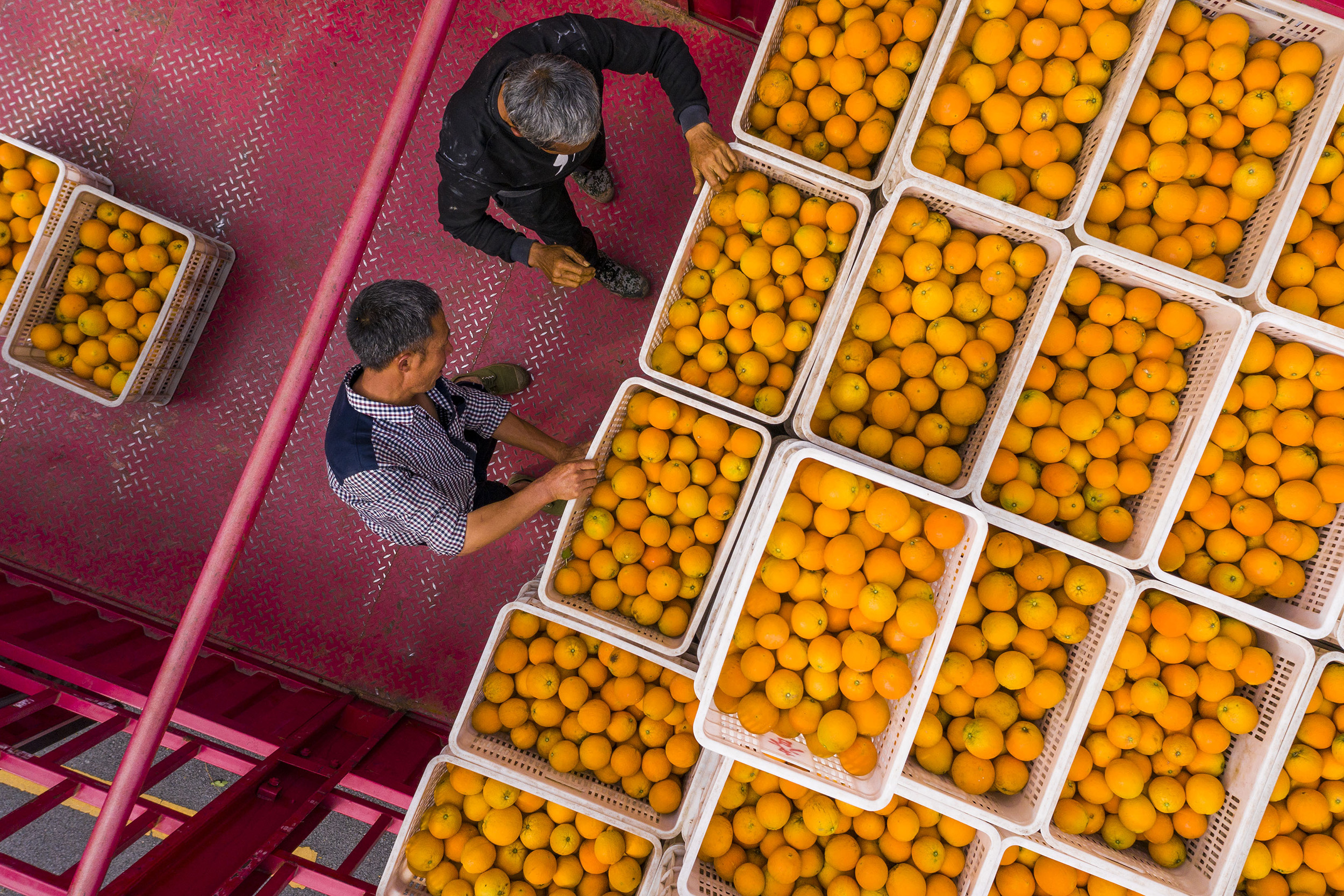 Farmers load crates of oranges onto a truck at an orchard on April 26, in Zigui County, Yichang City, Hubei Province of China. 