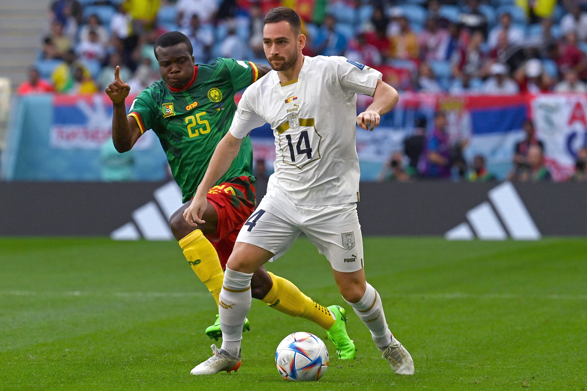 Serbia's midfielder #14 Andrija Zivkovic fights for the ball with Cameroon's defender #25 Nouhou Tolo during the Qatar 2022 World Cup Group G football match between Cameroon and Serbia at the Al-Janoub Stadium in Al-Wakrah on November 28