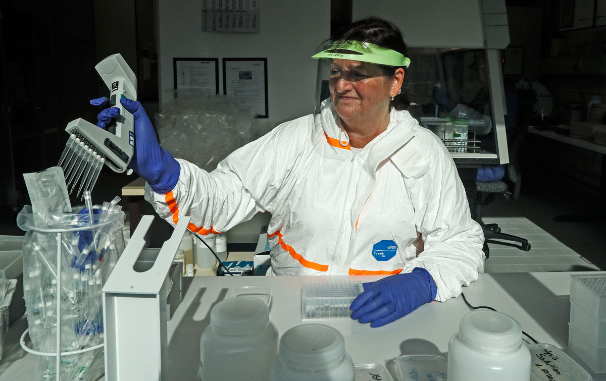 An employee prepares a Covid-19 test at the chemical and veterinary examination laboratory in Muenster, Germany, Friday, October 2.