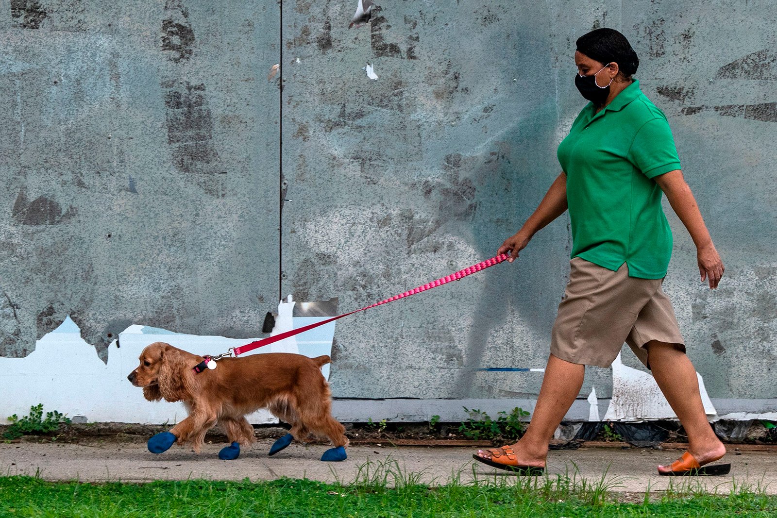 A woman wearing a face mask walks with her dog in a street of Panama City, on June 8.