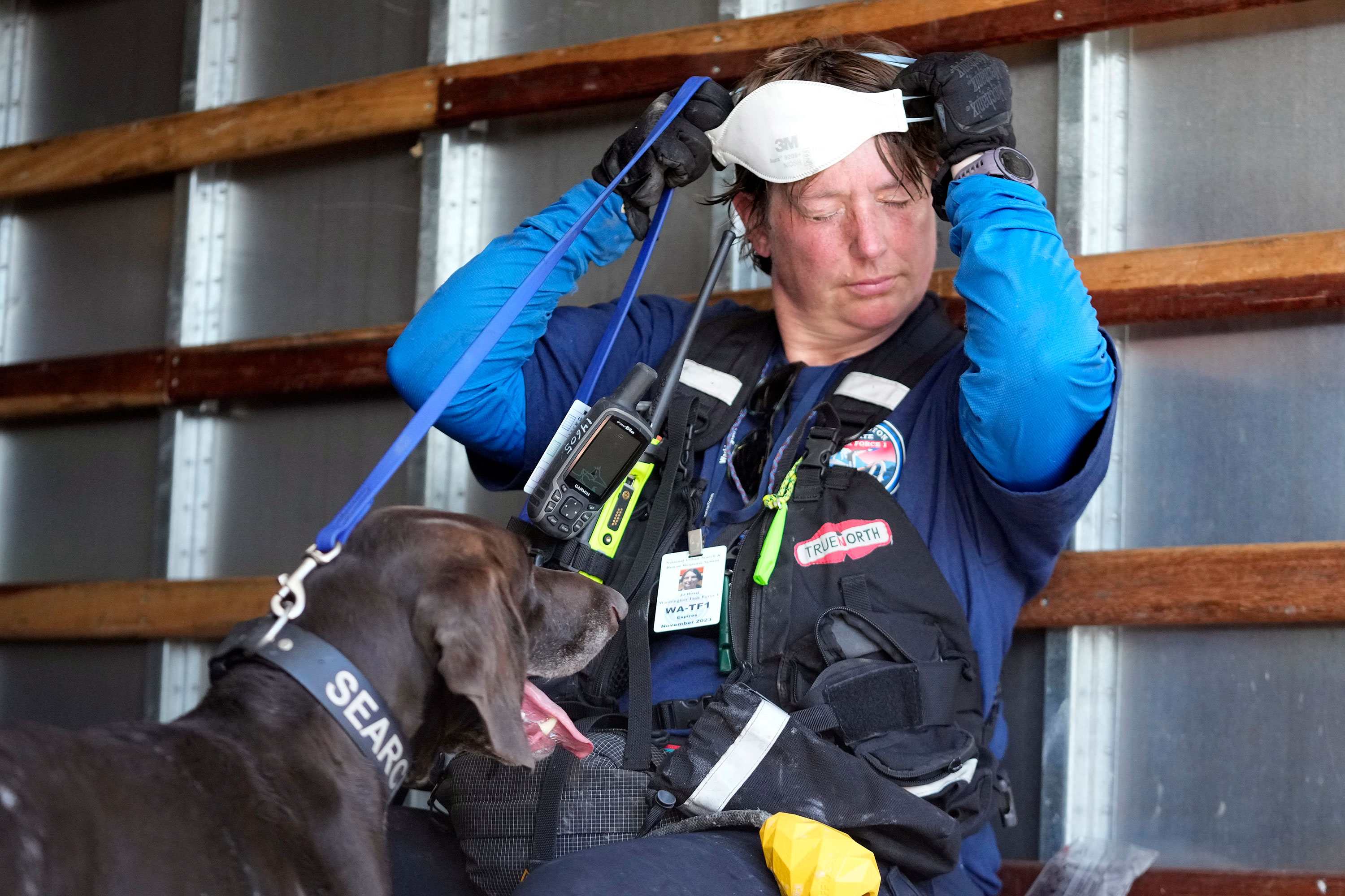 A member of a search-and-rescue team and her cadaver dog cool off near Front Street in Lahaina on Saturday.