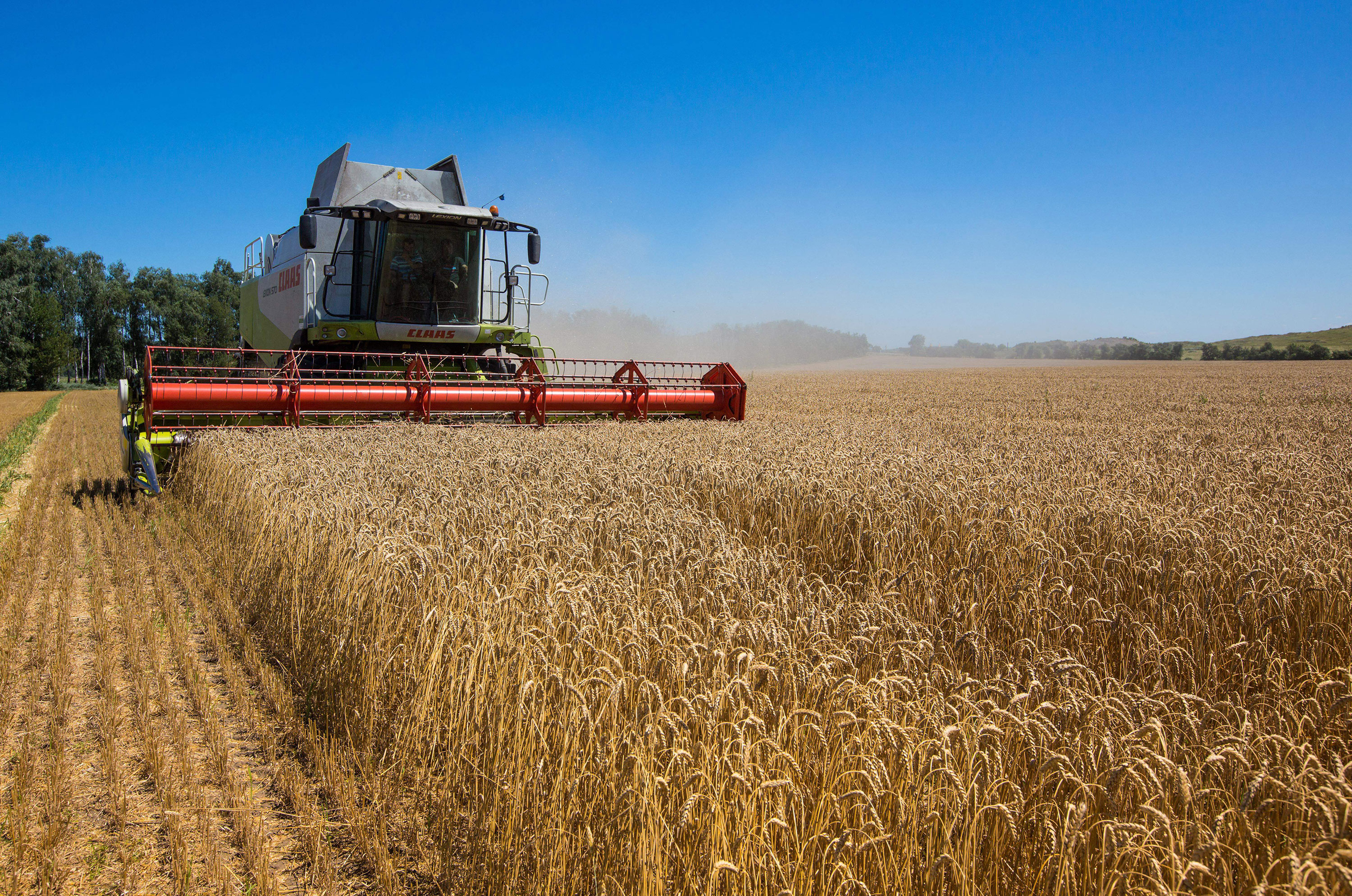 Wheat is harvested in the Khmelnytskyi region of Ukraine in 2013.