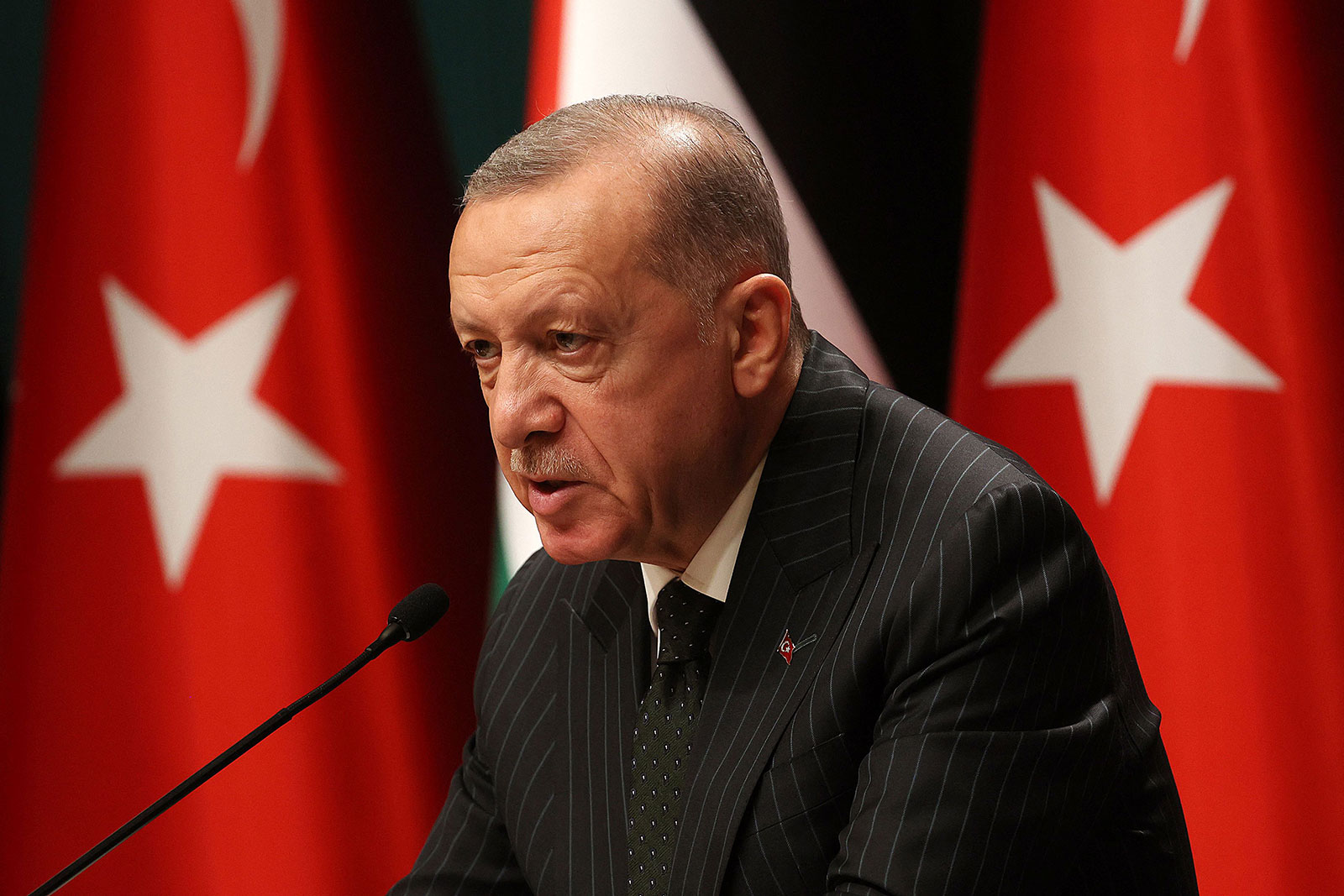 Turkey's President Recep Tayyip Erdogan speaks during a press conference in Ankara on August 23.