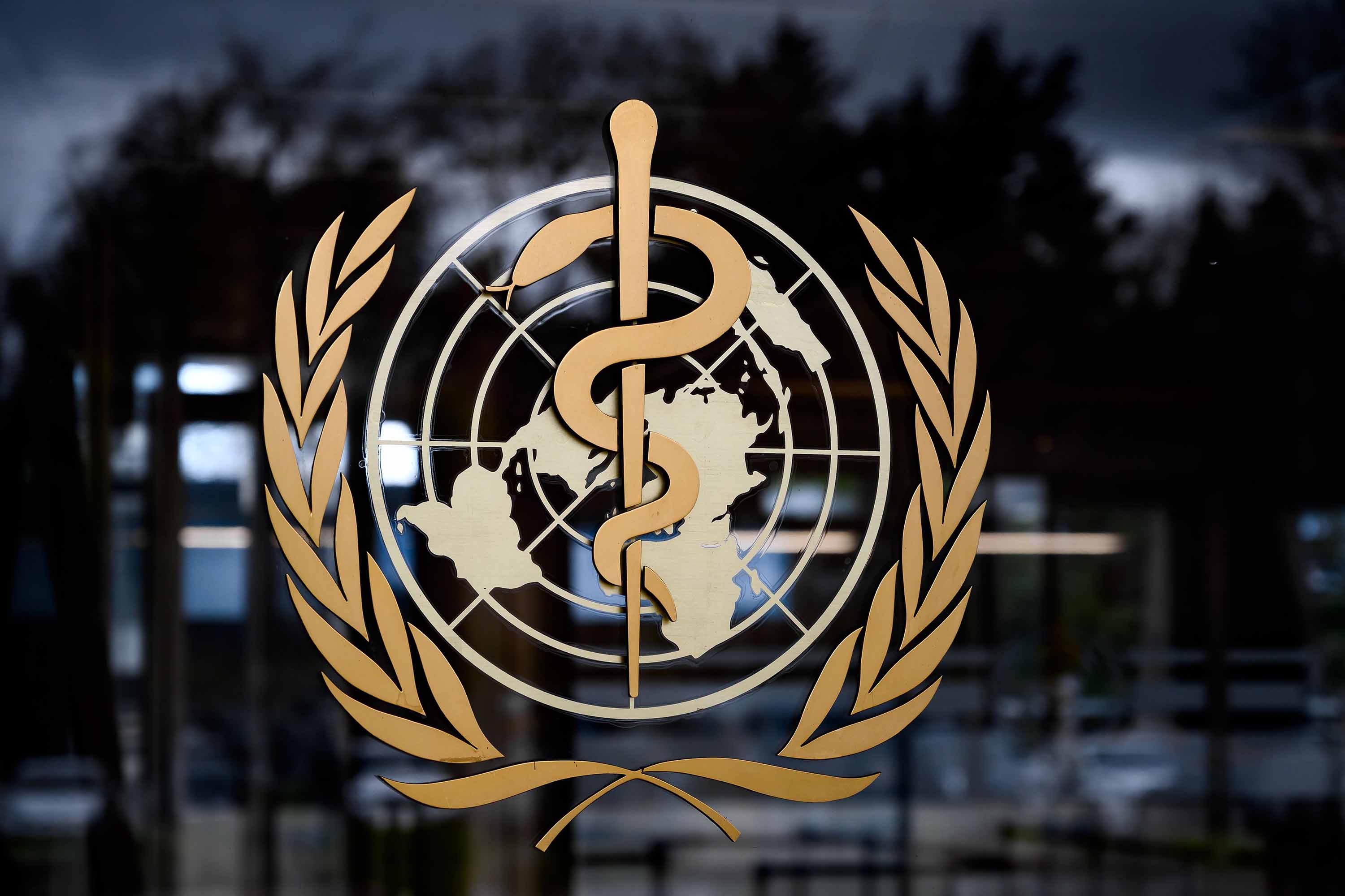 The emblem of the World Health Organization is pictured at its headquarters in Geneva, Switzerland, on March 9.