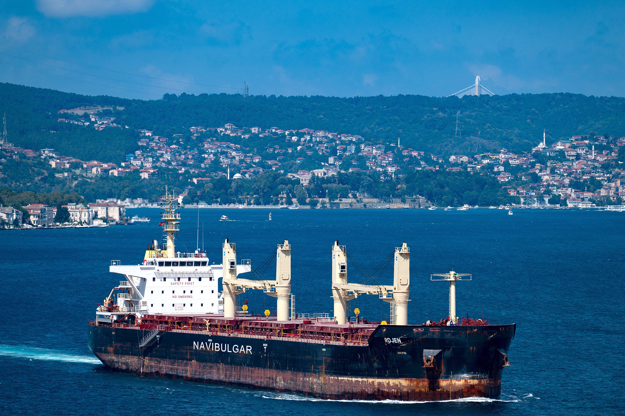 Malta-flagged bulk carrier M/V Rojen carrying tons of grain from Ukraine sails along the Bosphorus Strait in Istanbul on August 7, after being officially inspected as part of the Black Sea grain deal.