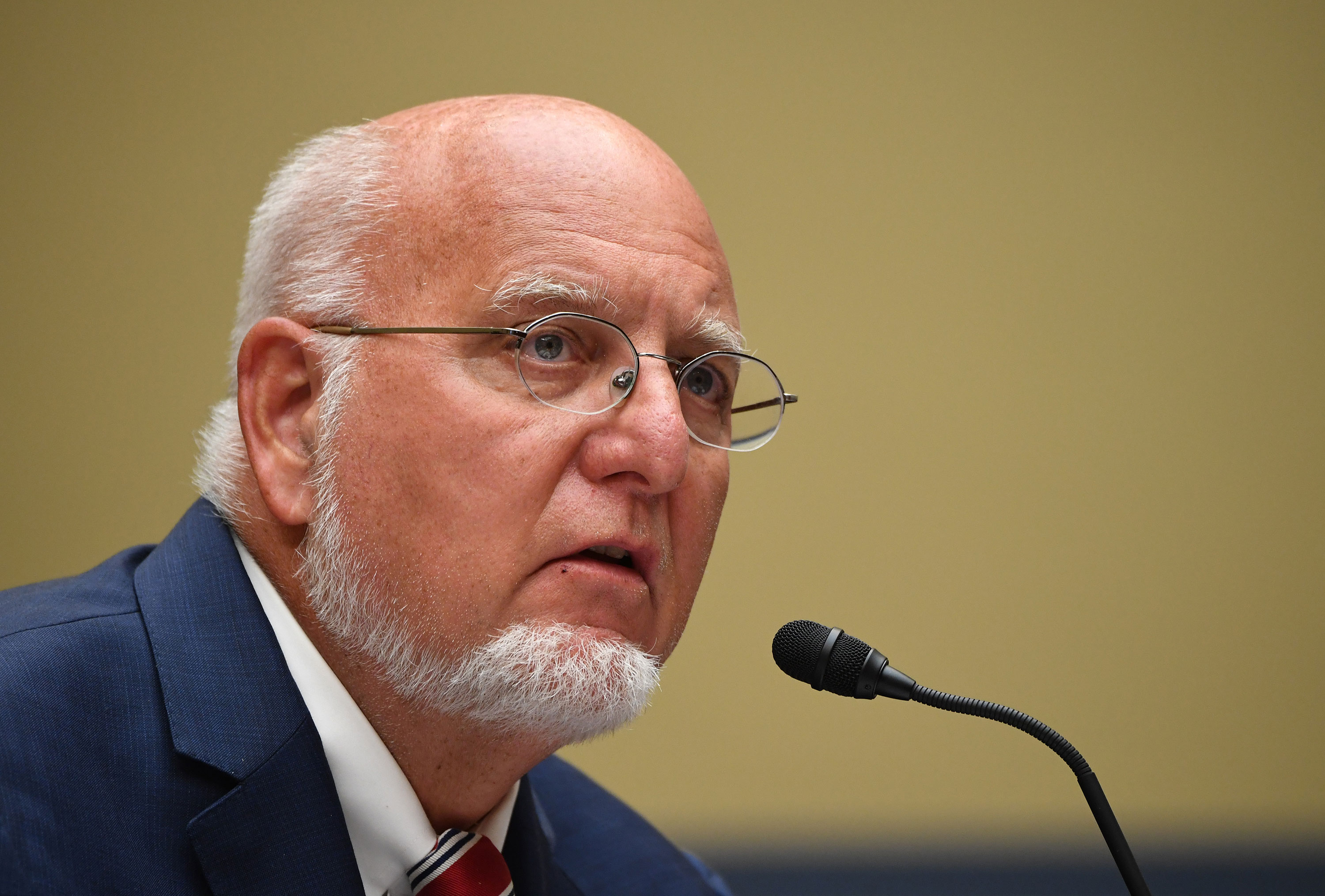 CDC Director Dr. Robert Redfield testifies at a House Subcommittee on the Coronavirus Crisis hearing on Capitol Hill on July 31 in Washington, D.C. 