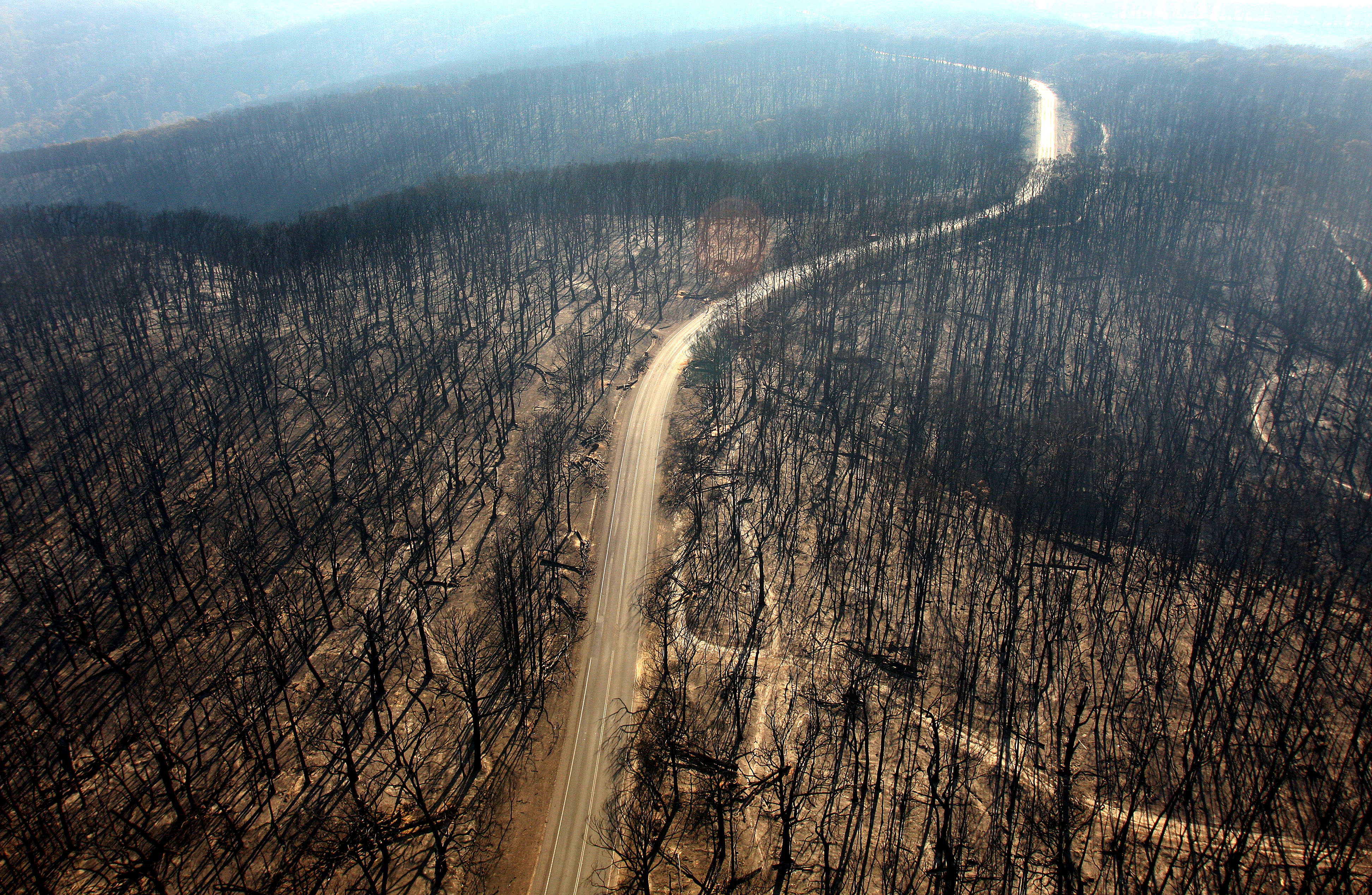 A dirt track runs through burnt forest in the Kinglake region on February 12, 2009 in Melbourne, Australia.