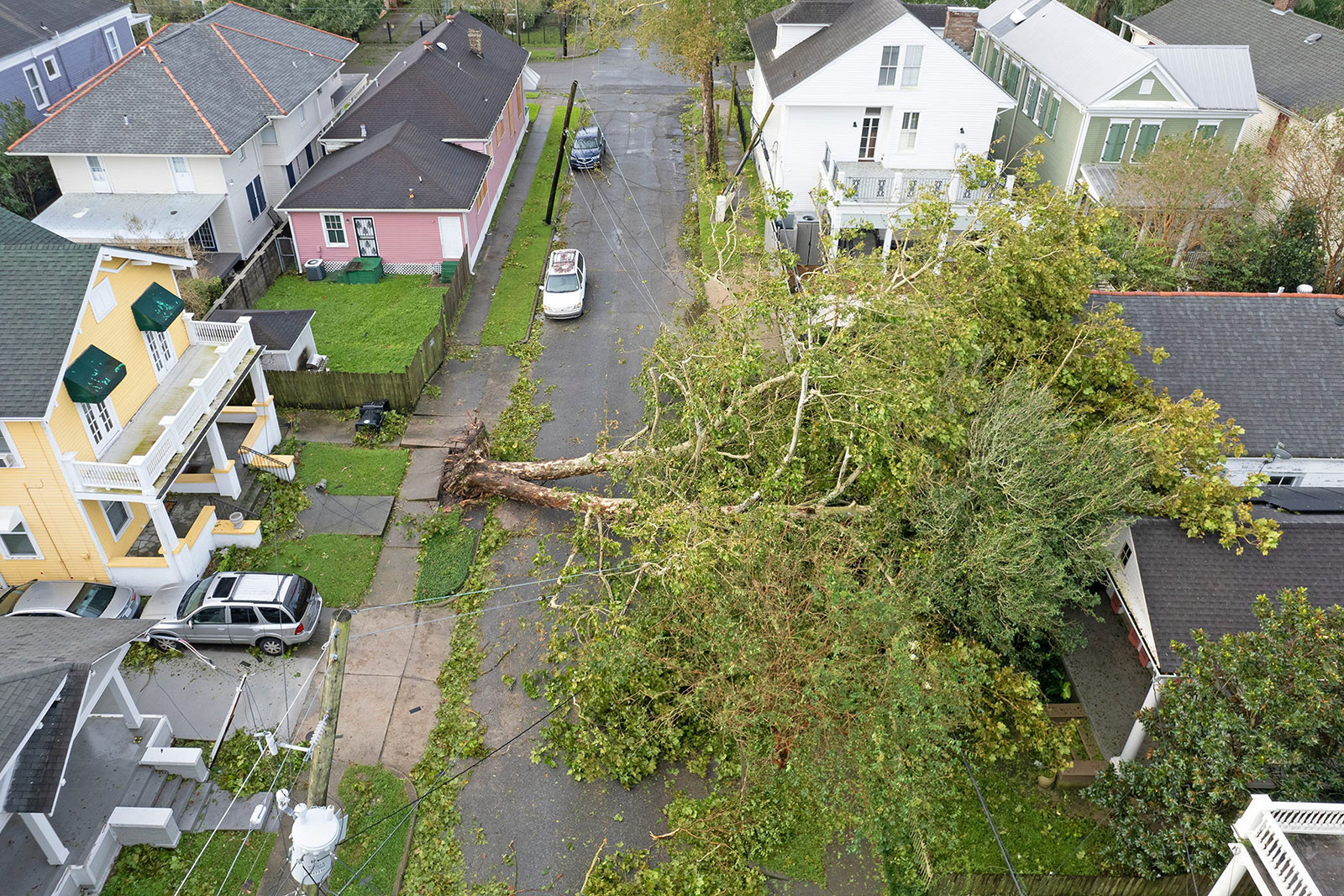 A tree lies on a house in the Uptown neighborhood of New Orleans on Monday, August 30.