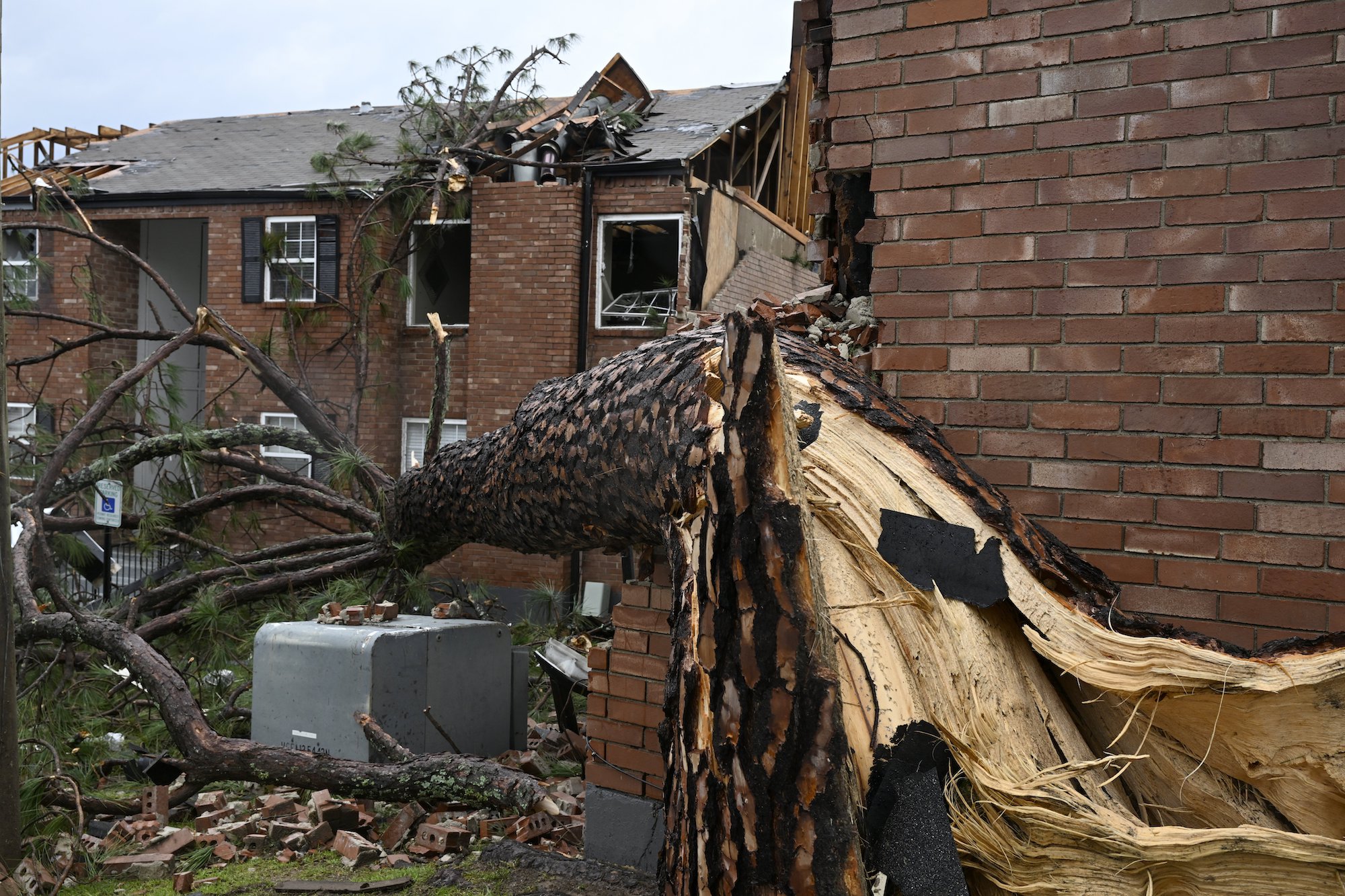 A tree lays on its side in an apartment complex in Little Rock, Arkansas.