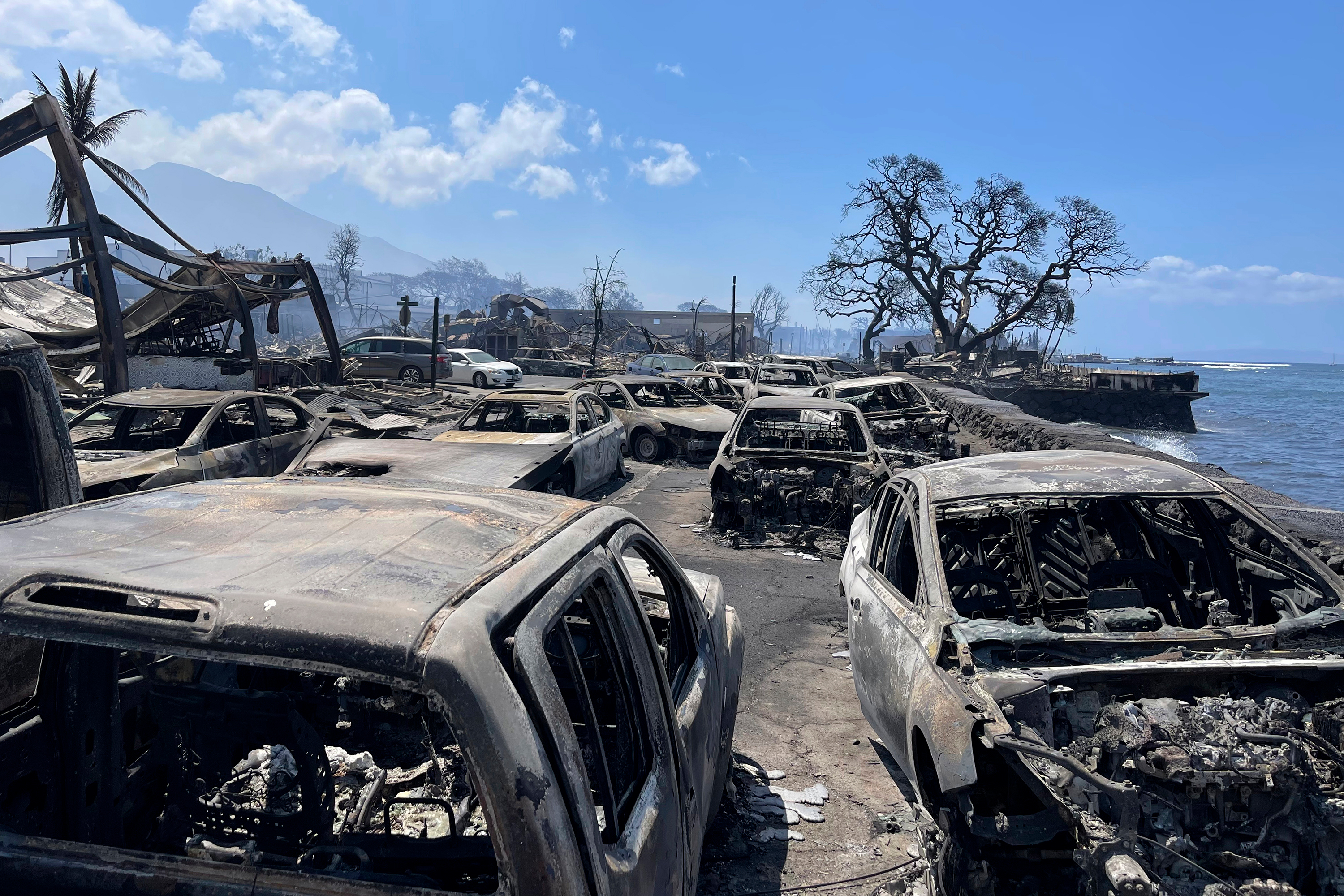 In this photo provided by Tiffany Kidder Winn, burned-out cars sit after a wildfire raged through Lahaina, Hawaii, on August 9, 2023.