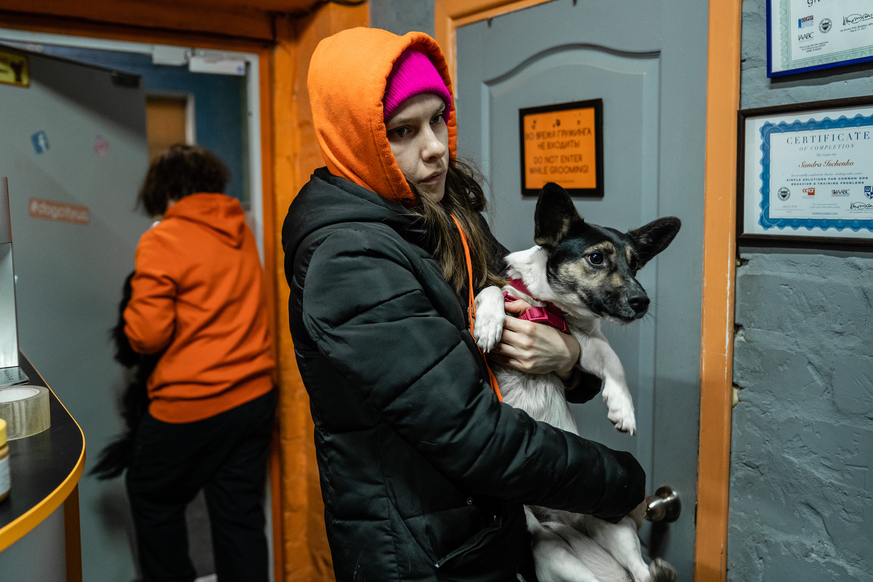 Anastasia, an employee at Dog City, carries a frightened dog into the shelter.