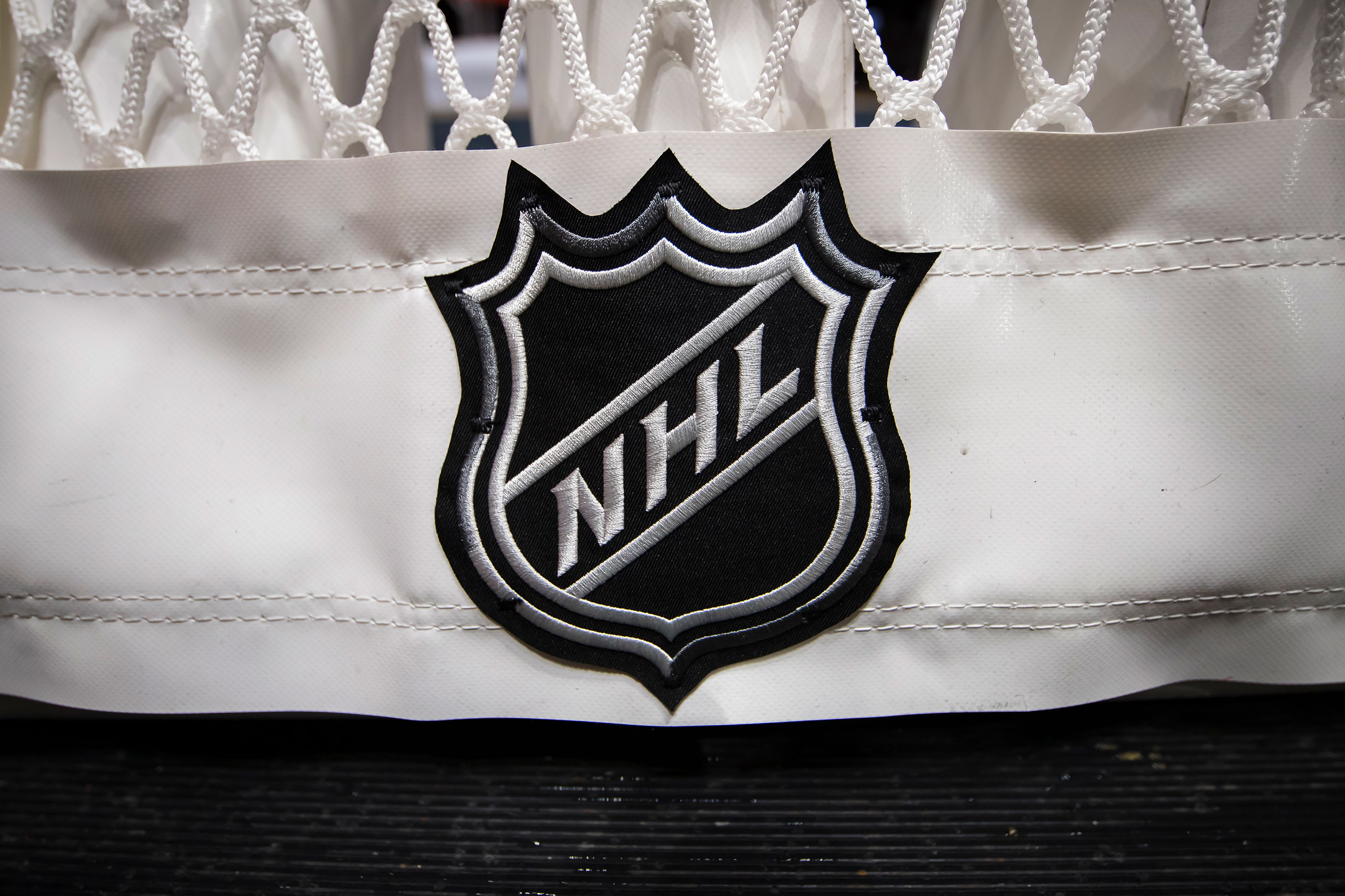 A detailed view of the NHL logo is seen on the back of the goal netting at Capital One Arena on October 16, 2019 in Washington, DC.