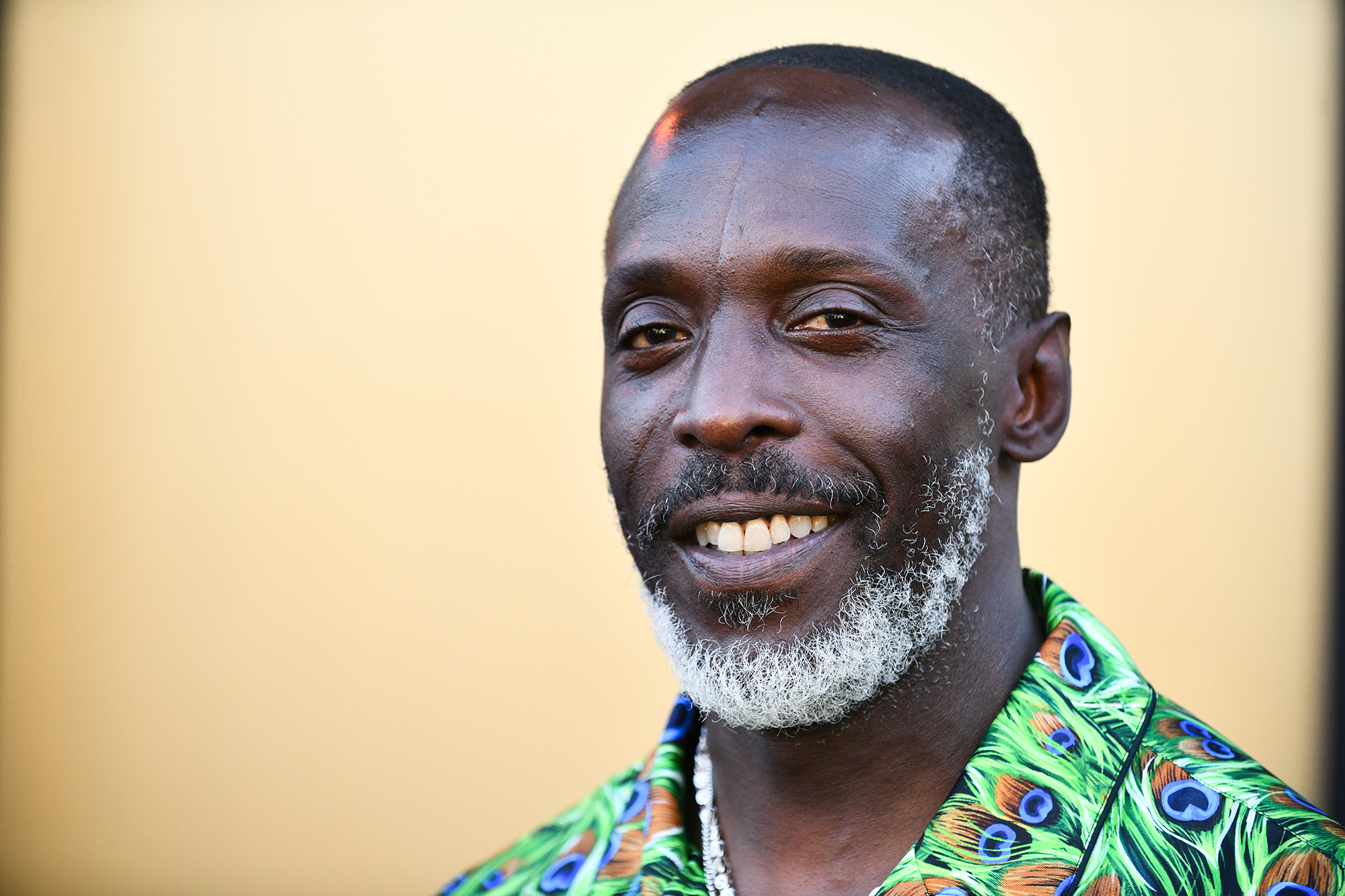 Michael K. Williams attends the Los Angeles premiere of MGM's 