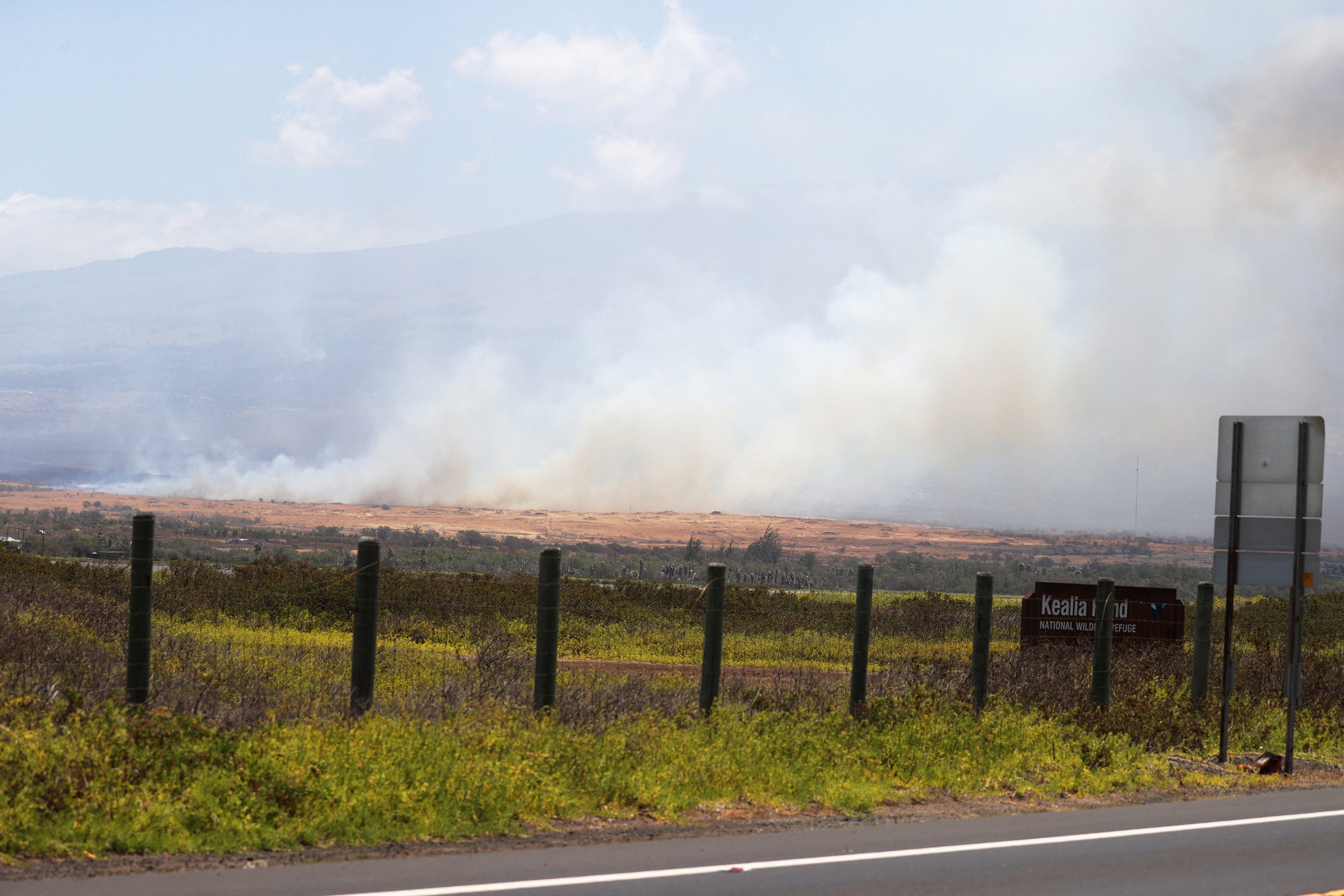 More Than 11 000 Still Without Power In Maui more-than-11-000-still-without-power-in-maui