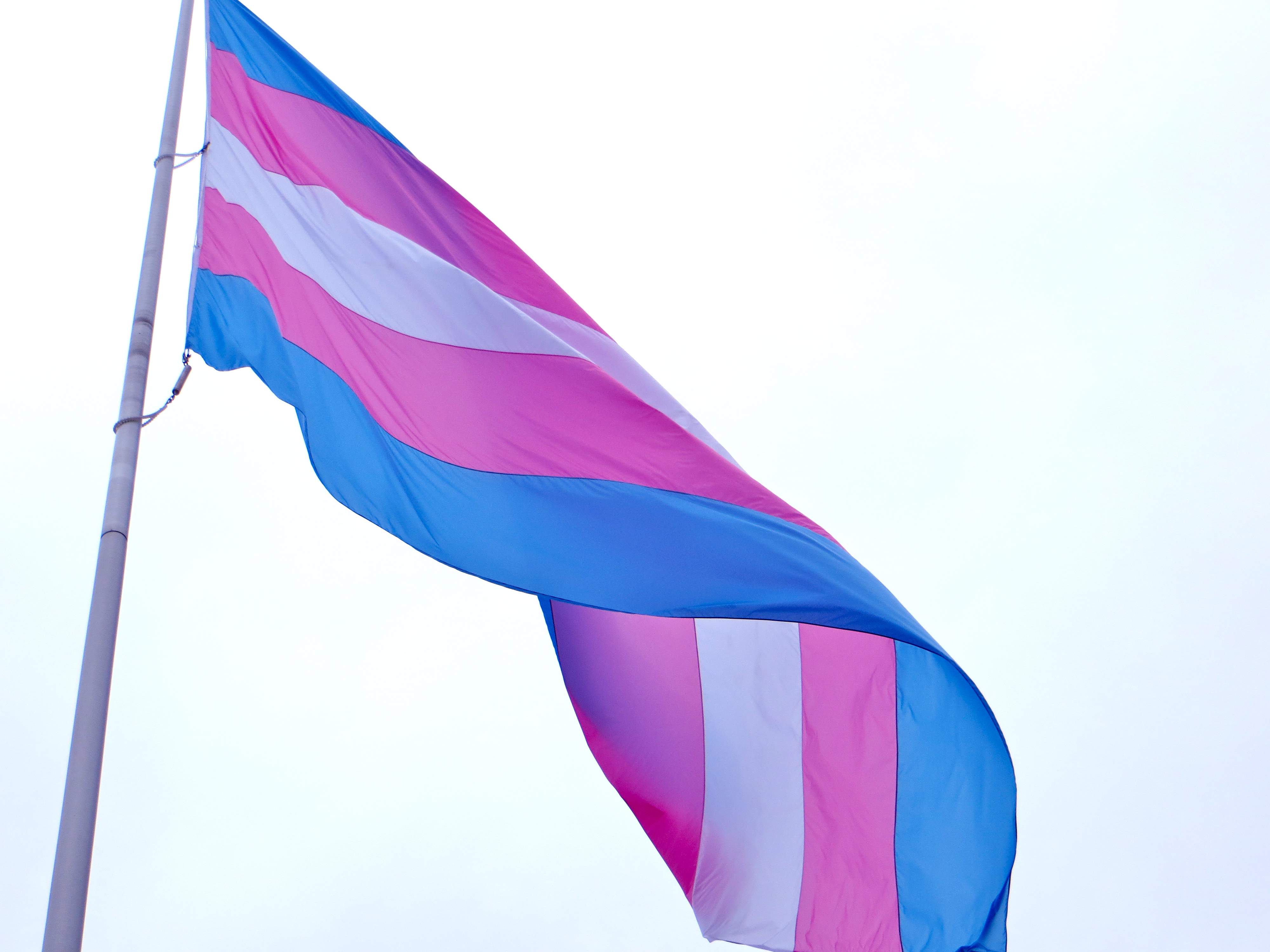 The Transgender Pride Flag
