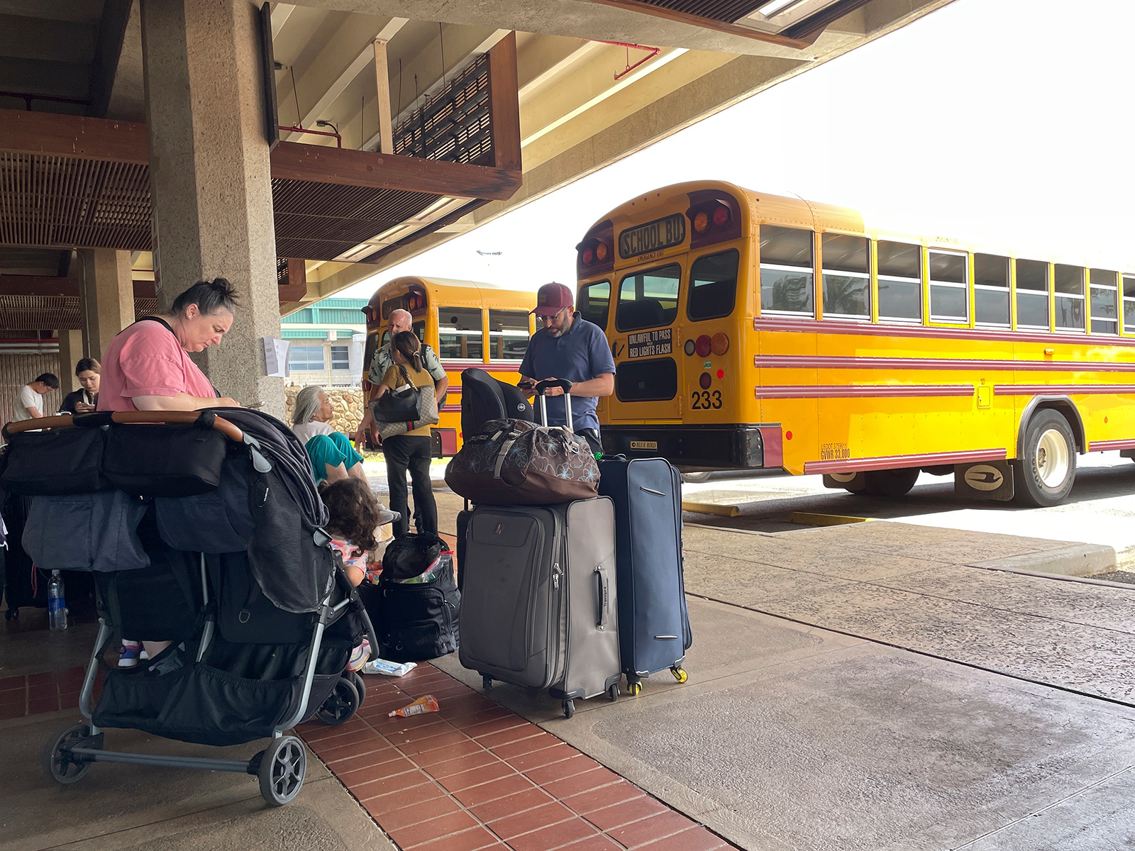 School buses used as emergency shuttles are seen at the Maui airport in Kahului, Hawaii, on August 10.