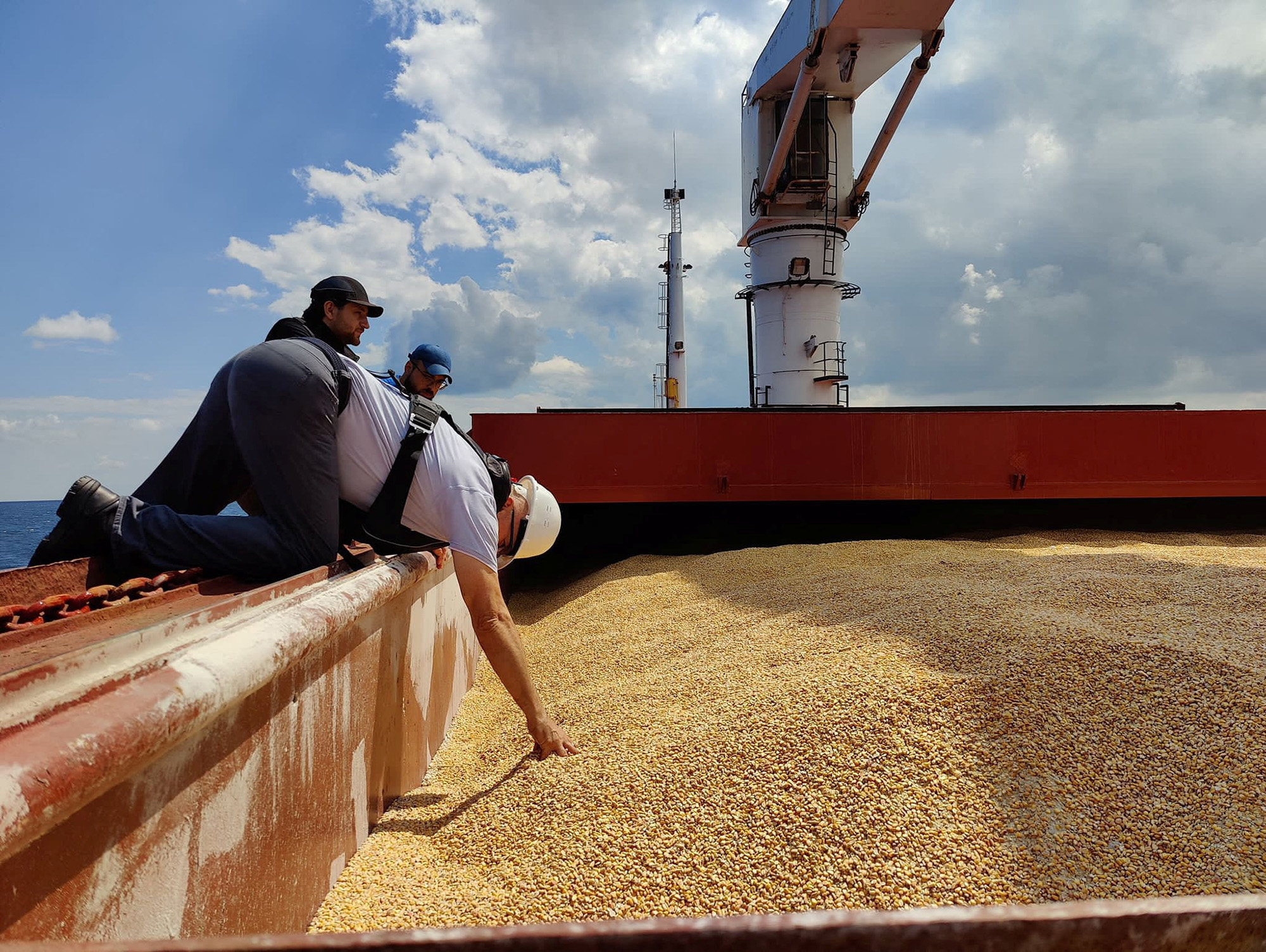 First Ukrainian grain shipment passes inspection in Istanbul