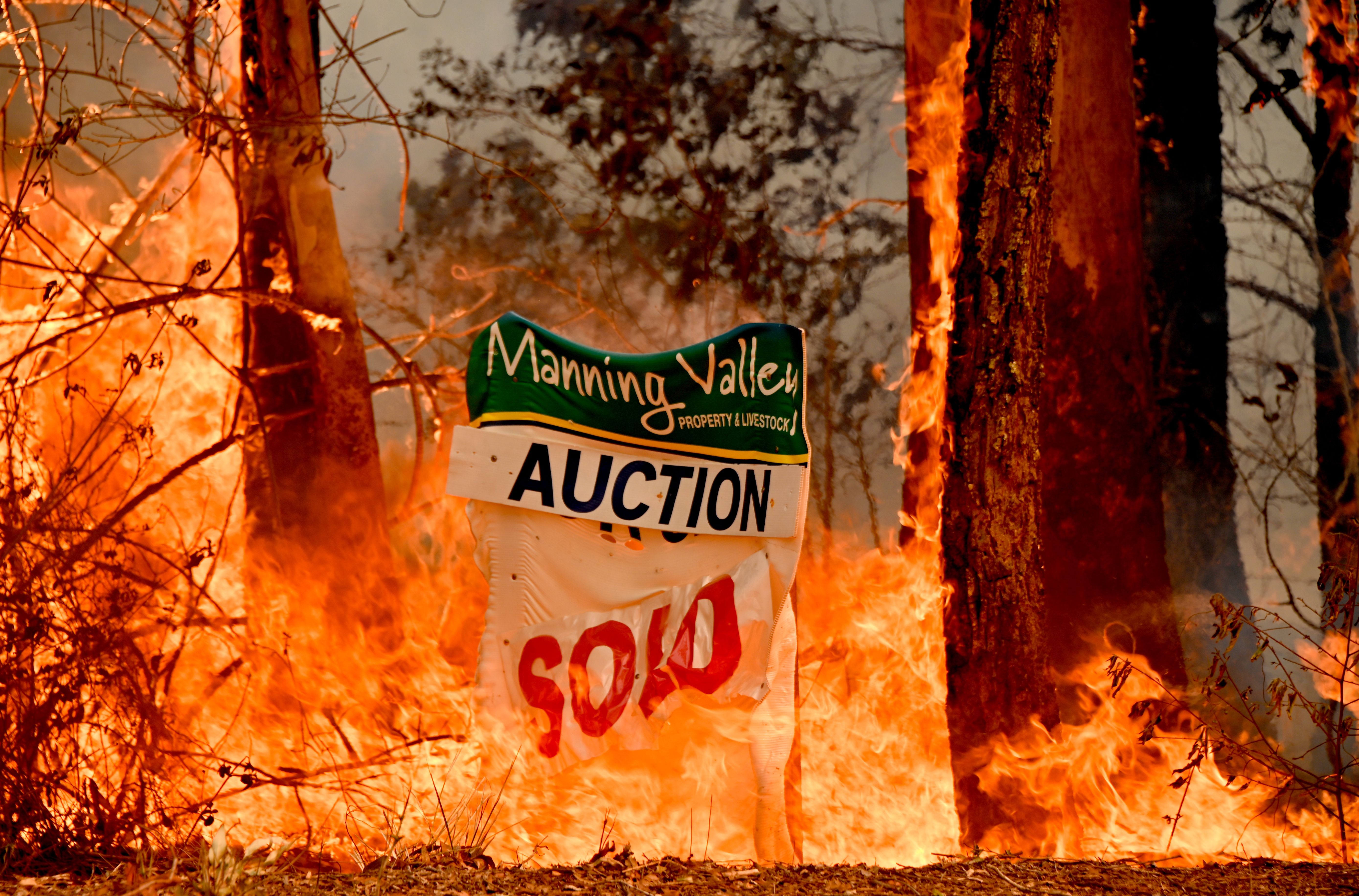 A bushfire burns outside a property near Taree, 350km north of Sydney on November 12.