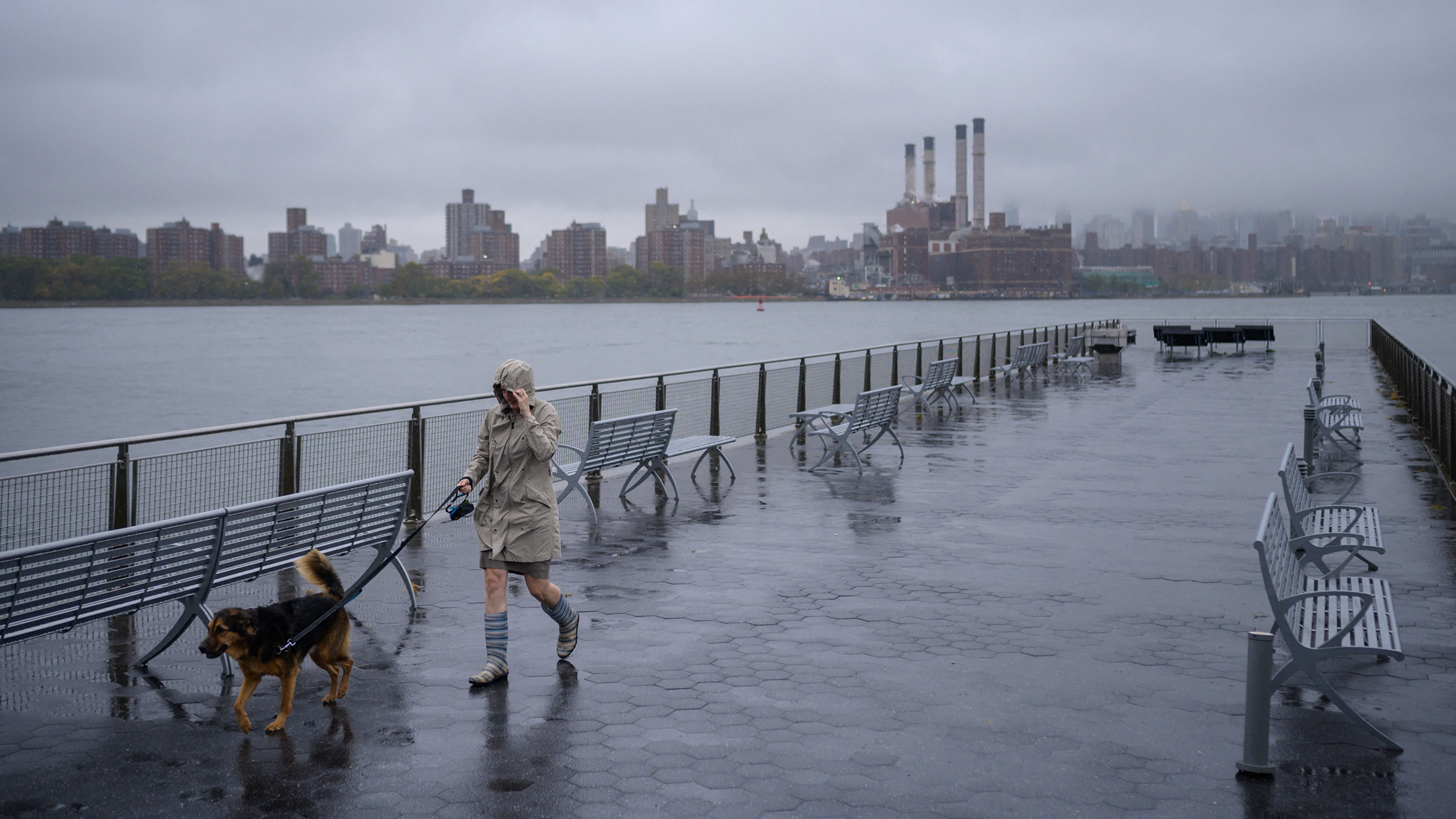 A woman walks a dog in Brooklyn, New York, on October 26. 