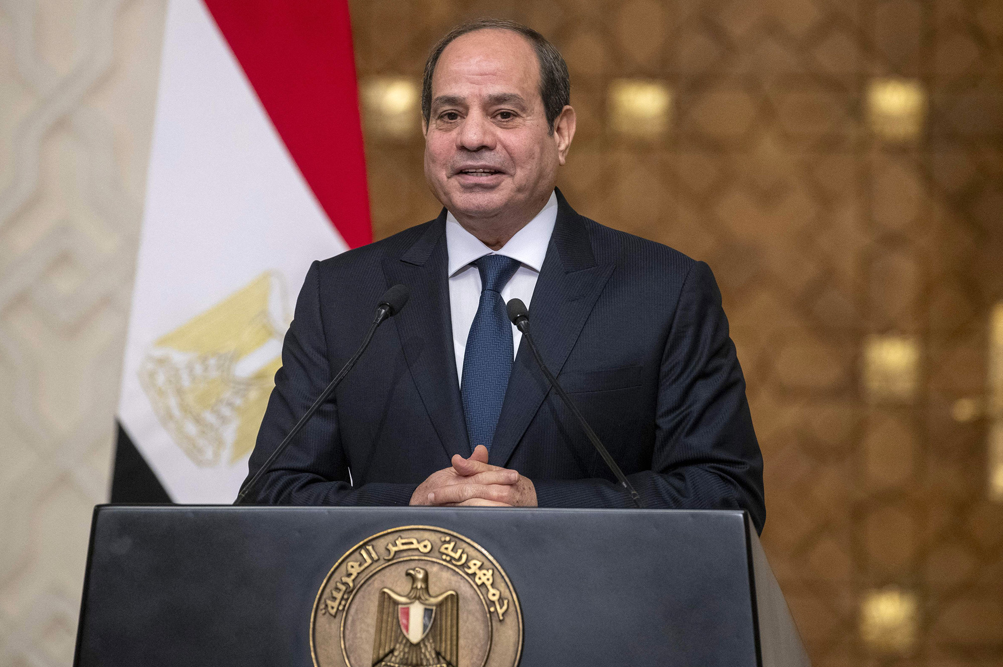Egypt's President Abdul Fatah El-Sisi talks to the press after a meeting at the Palace in Cairo on November 24.