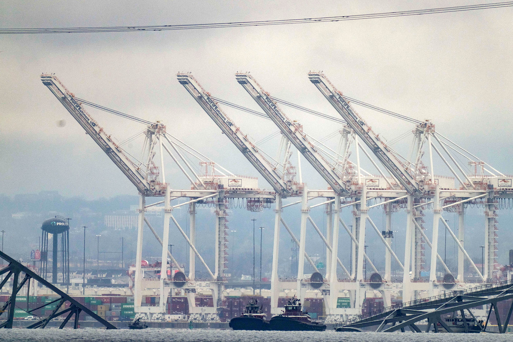 The cranes for the Port of Baltimore are seen on March 27. 