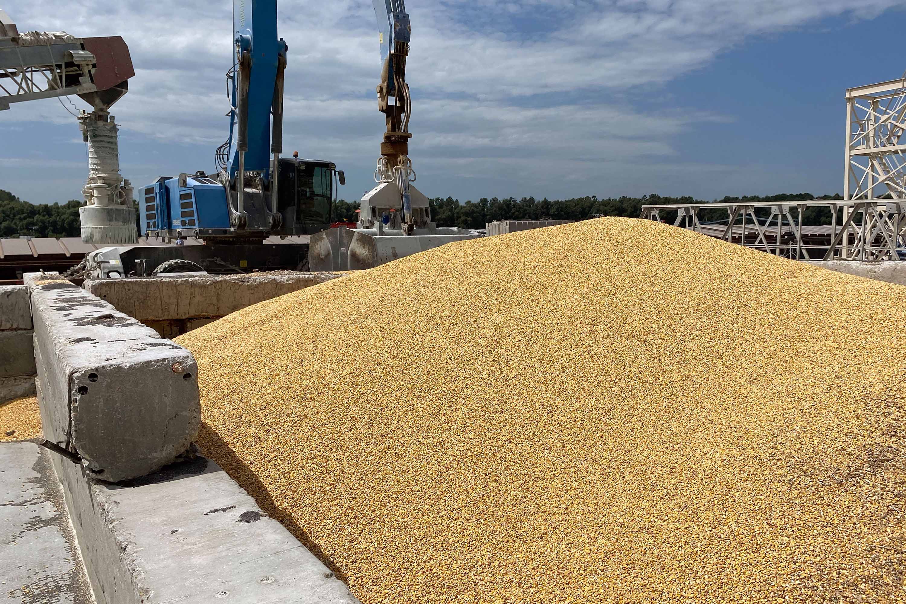 A pile of grain is seen at the Izmail Sea Port in Ukraine's Odesa region, on July 22. 