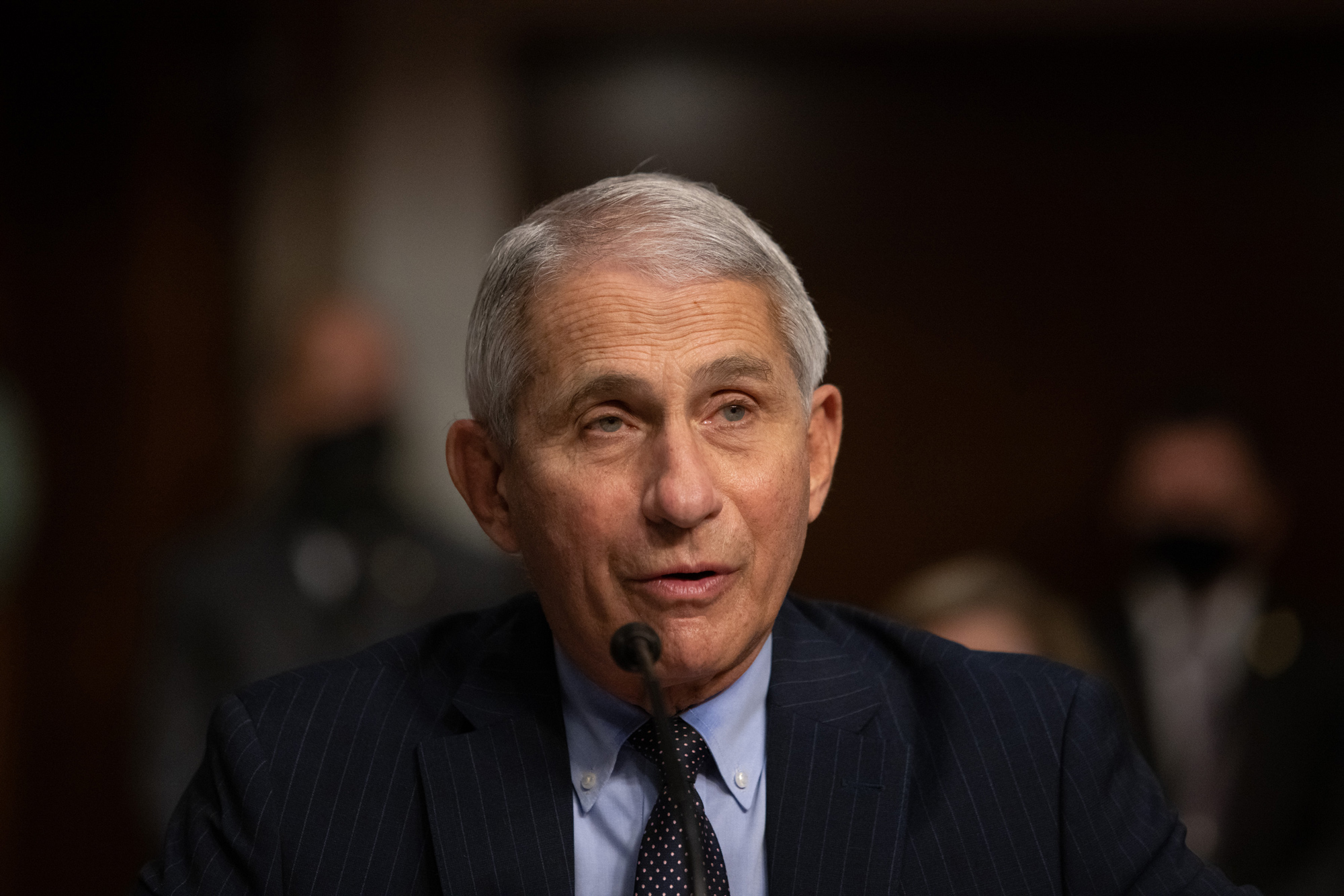 Dr. Anthony Fauci, Director of the National Institute of Allergy and Infectious Diseases at the National Institutes of Health, testifies during a US Senate Health, Education, Labor, and Pensions Committee hearing in Washington, DC, on September 23.