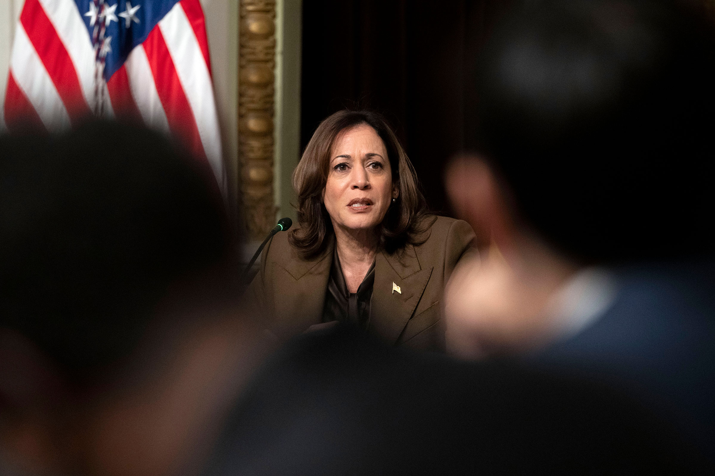 Kamala Harris Outlines New Strategy Aimed At Voter Registration And ...