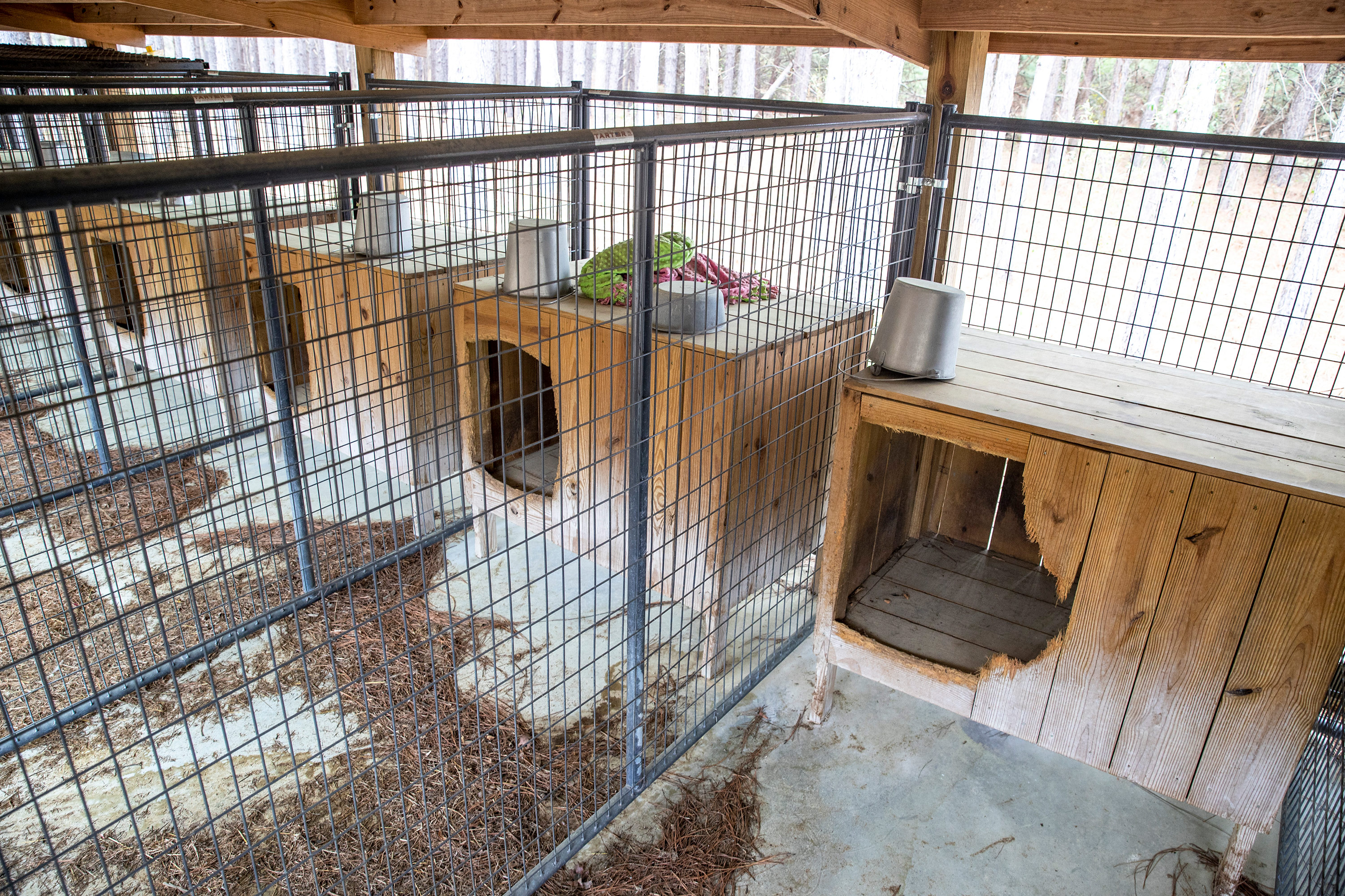 Dog kennels at Murdaugh's Moselle property in Islandton, South Carolina.