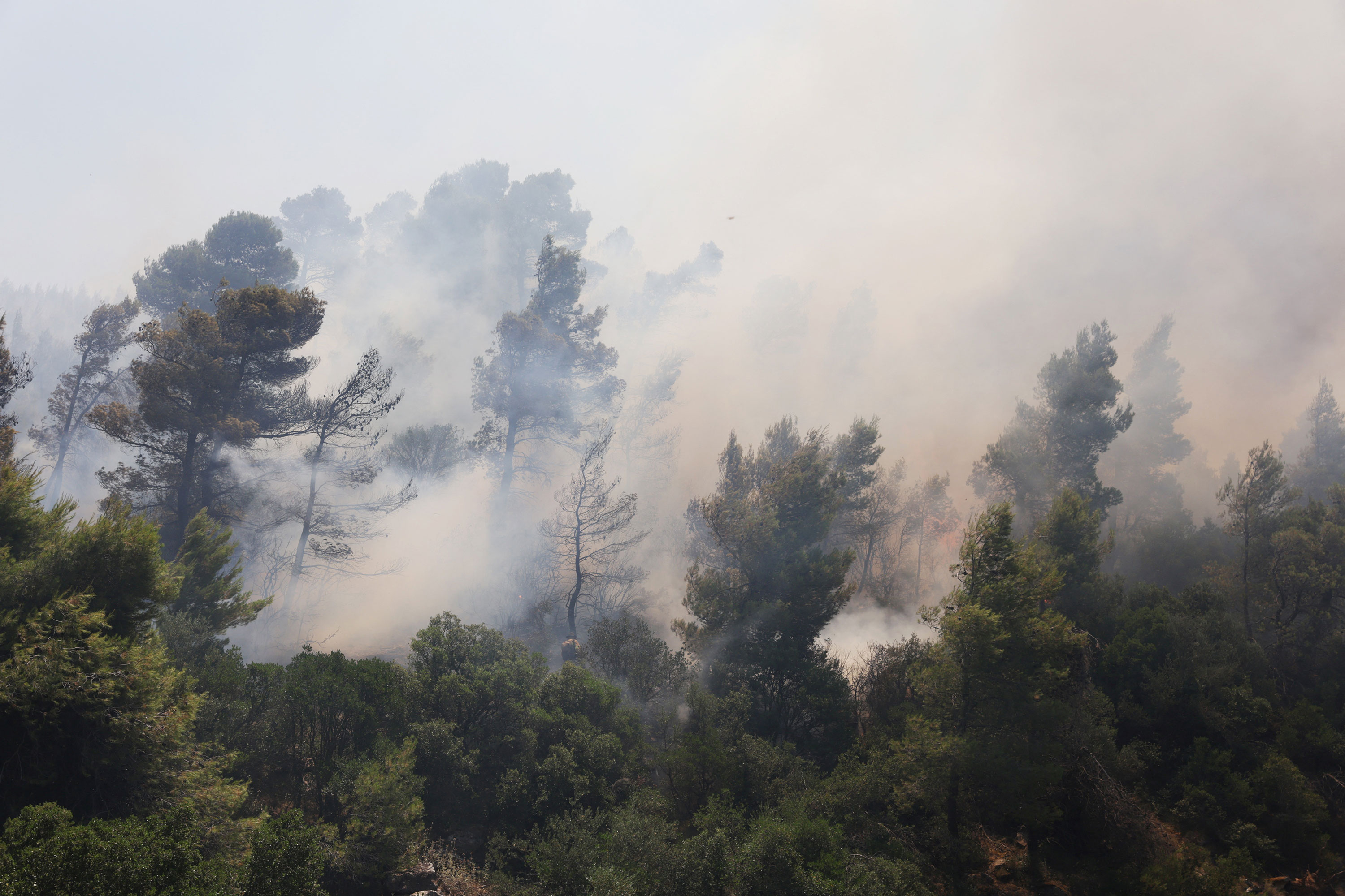 A wildfire burns near the village of Pournari, Greece, on Tuesday.