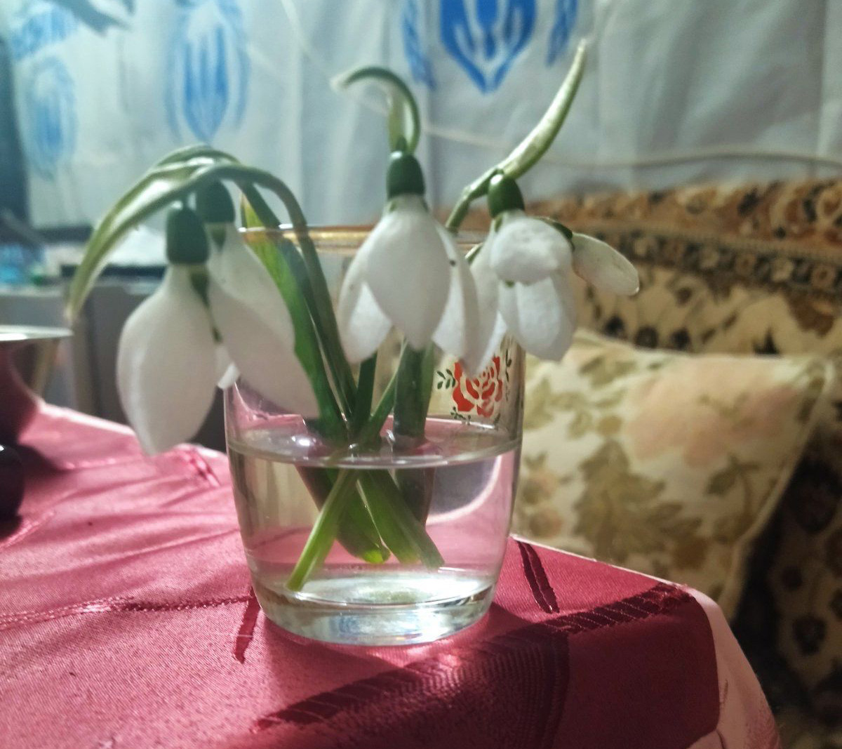 A small bunch of snowdrops sits on an improvised table in a basement in Bakhmut, Ukraine.